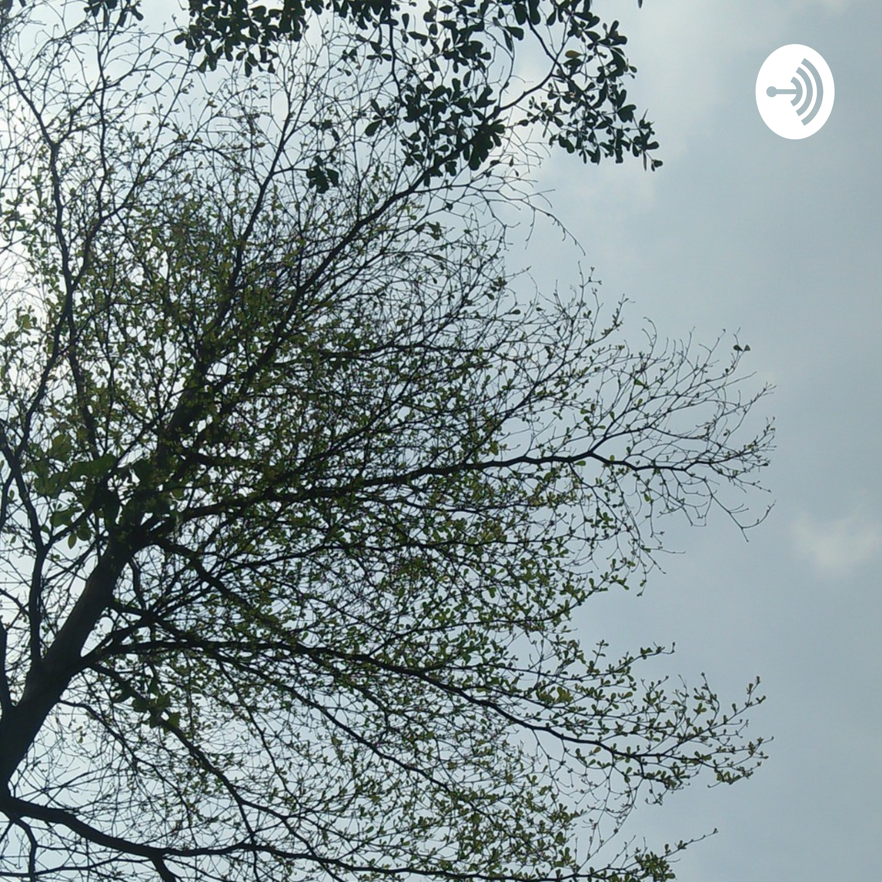 Rozna Fathin Nafisyah ^^