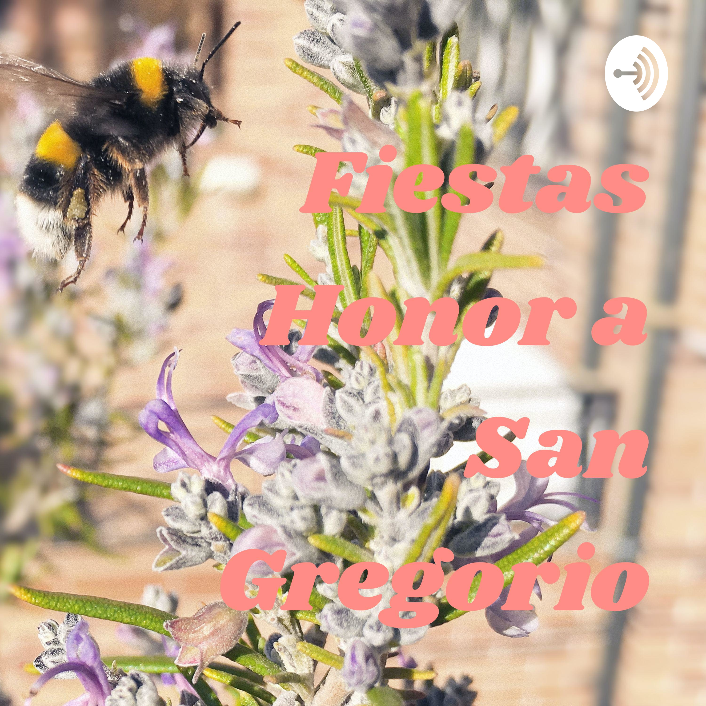 Fiestas Honor a San Gregorio podcast artwork