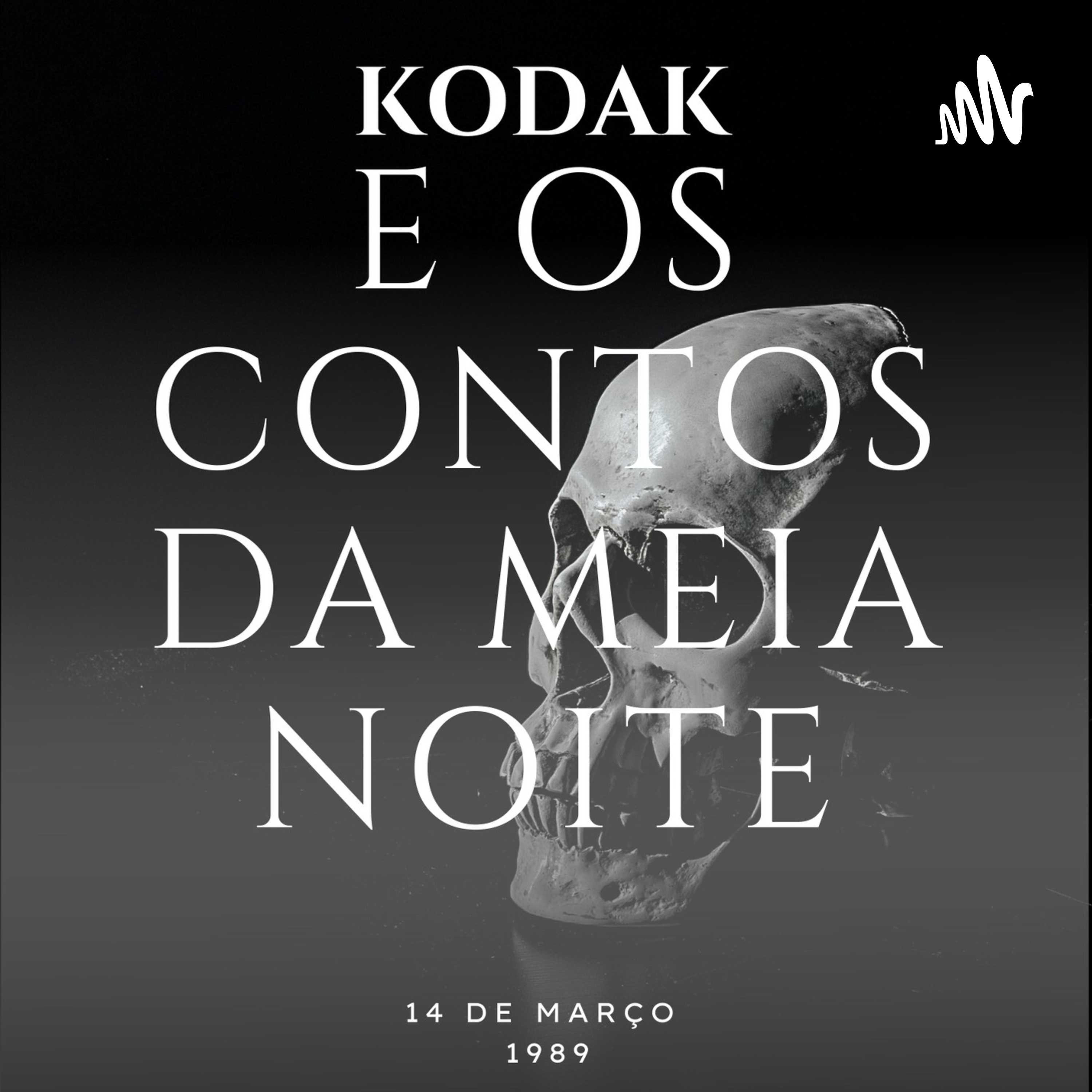 KODAK E OS CONTOS DA MEIA NOITE