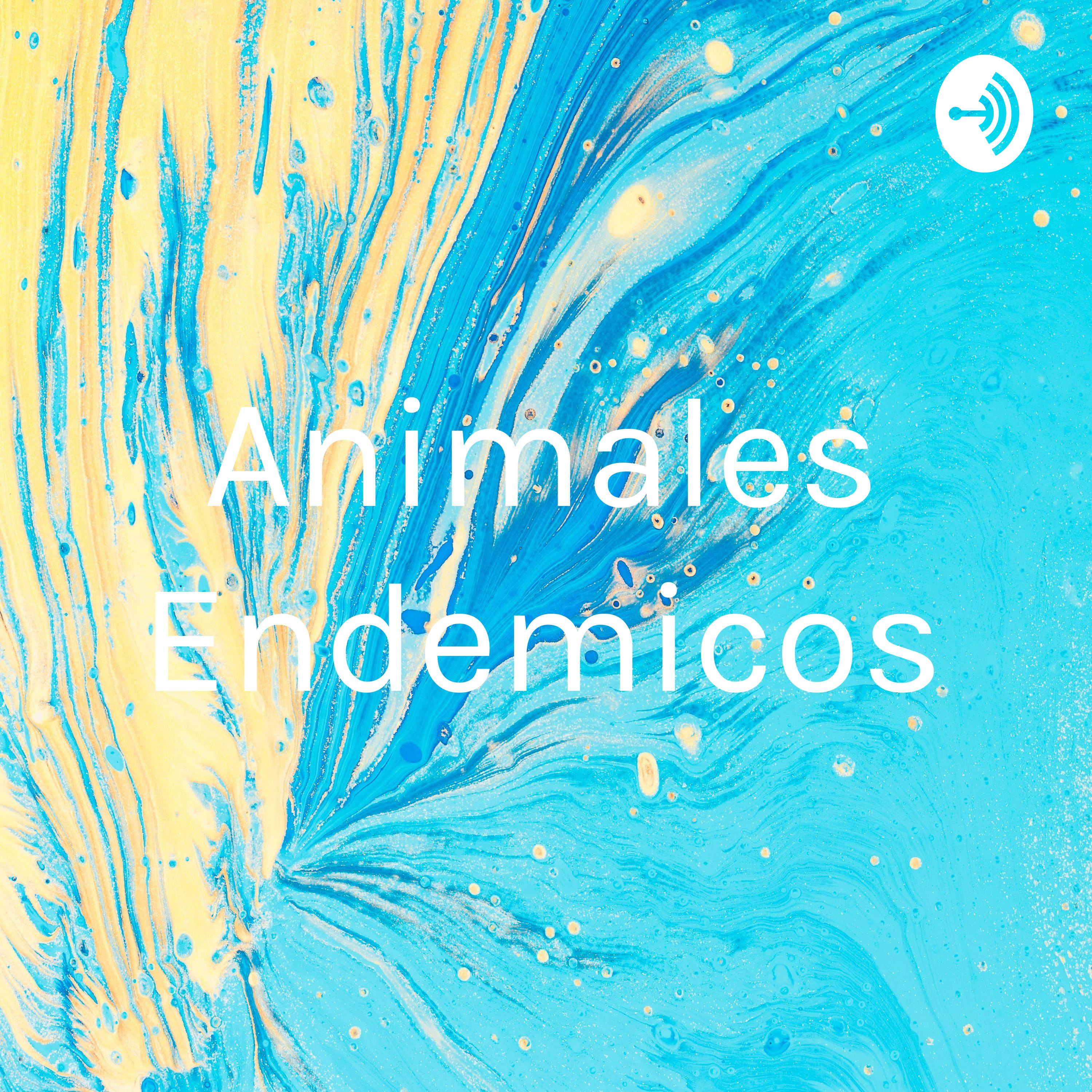 Animales Endemicos cover art
