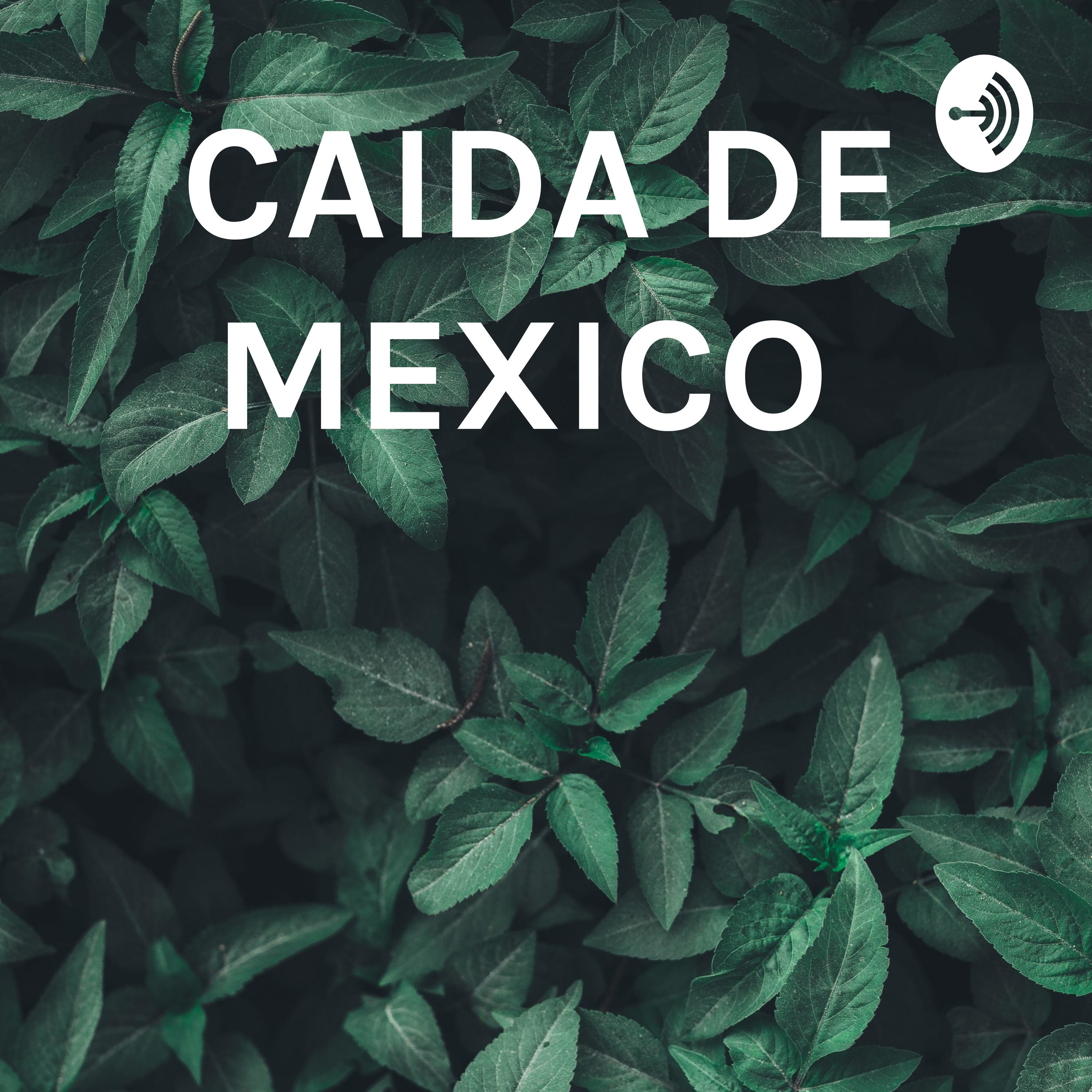 CAIDA DE MEXICO cover art