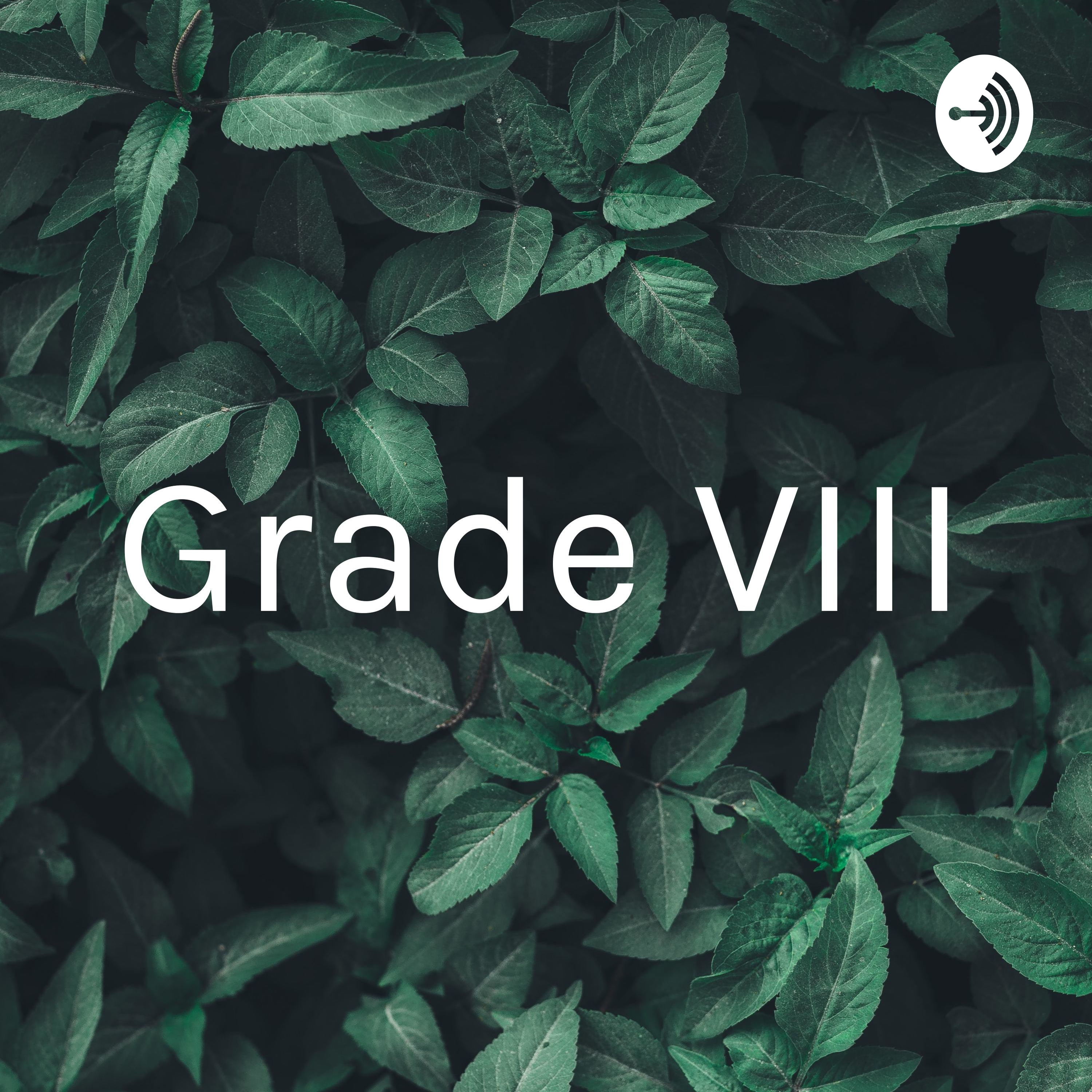 Grade VIII