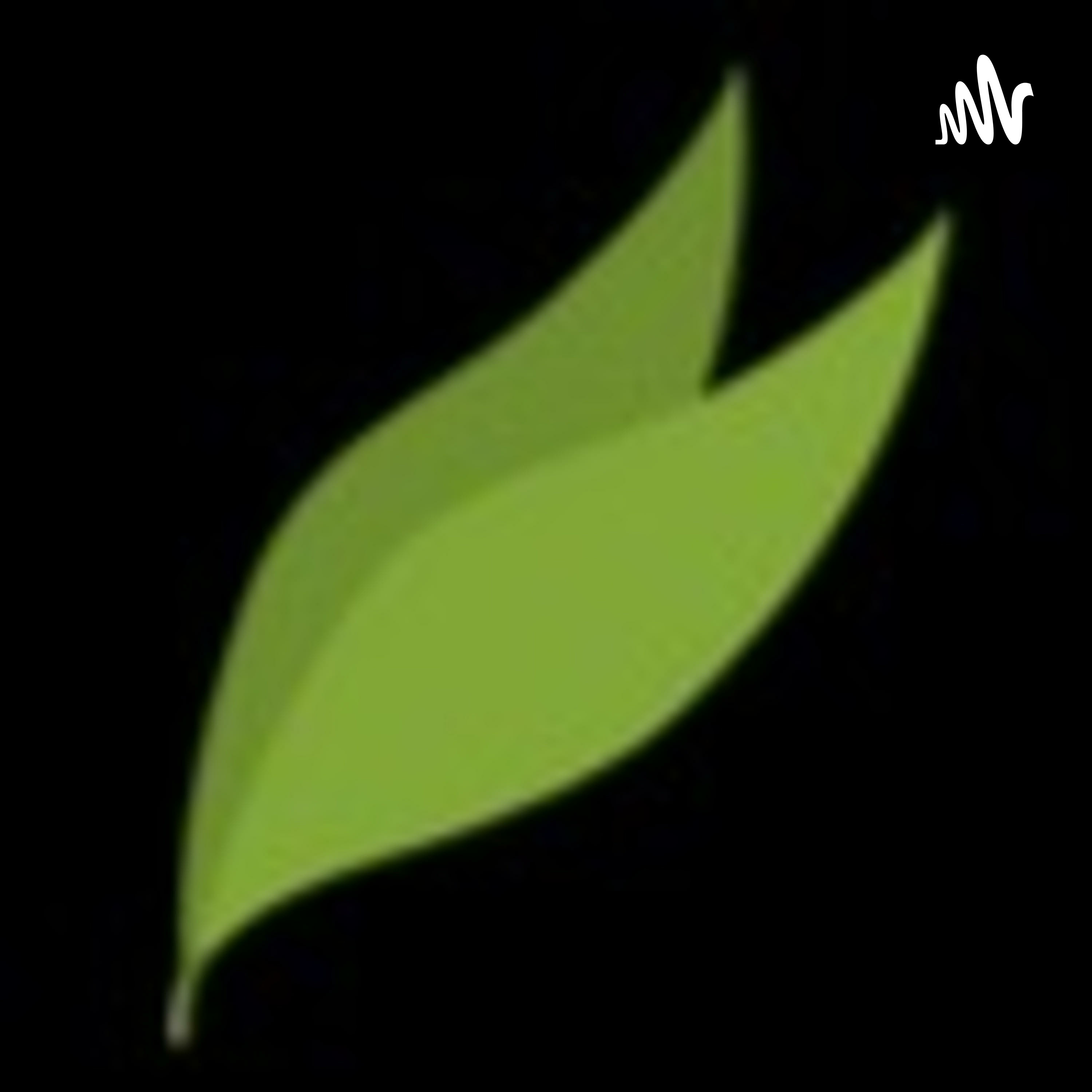 REPUBLICA DOMINICANA | Salud mental y emocional