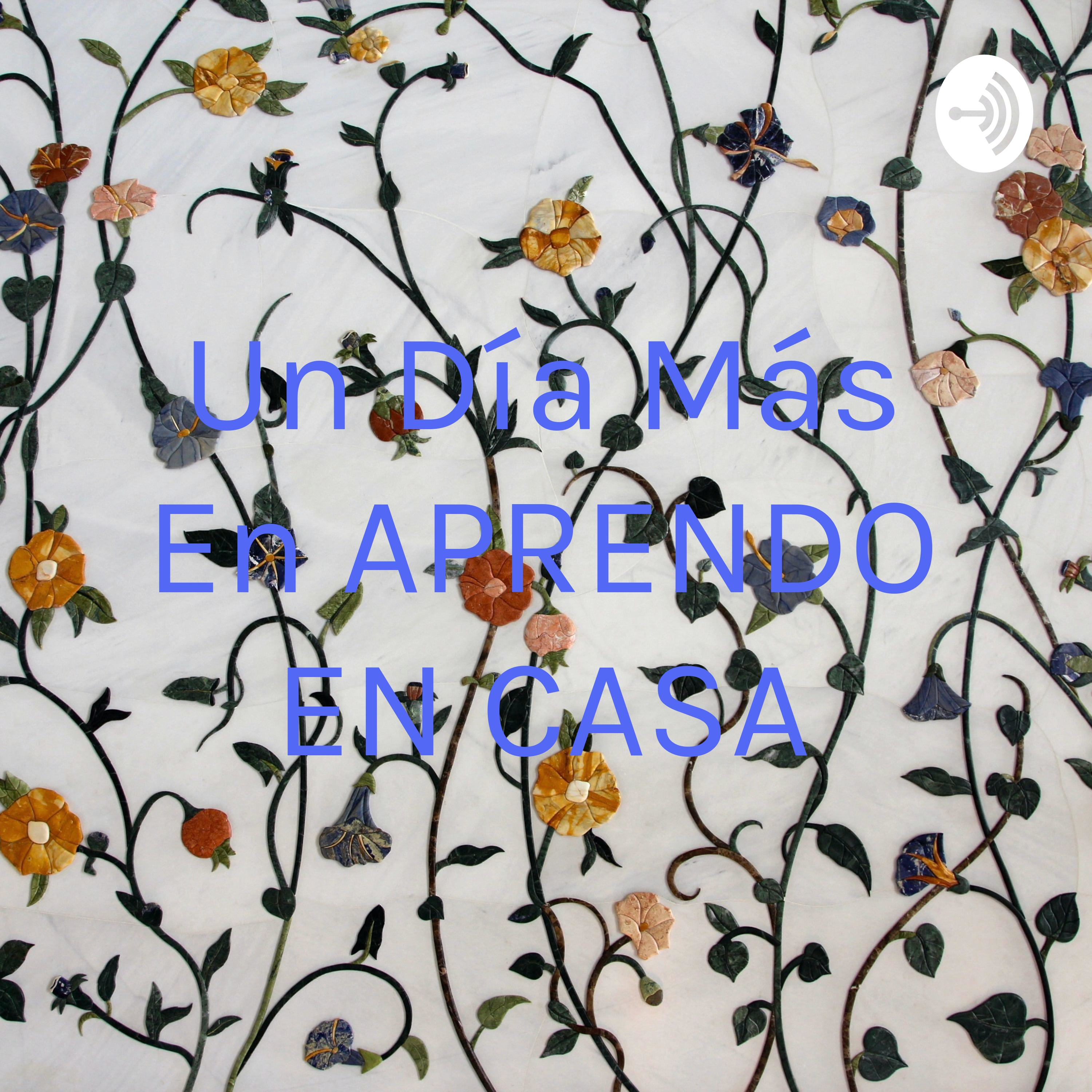 Un Día Más En APRENDO EN CASA