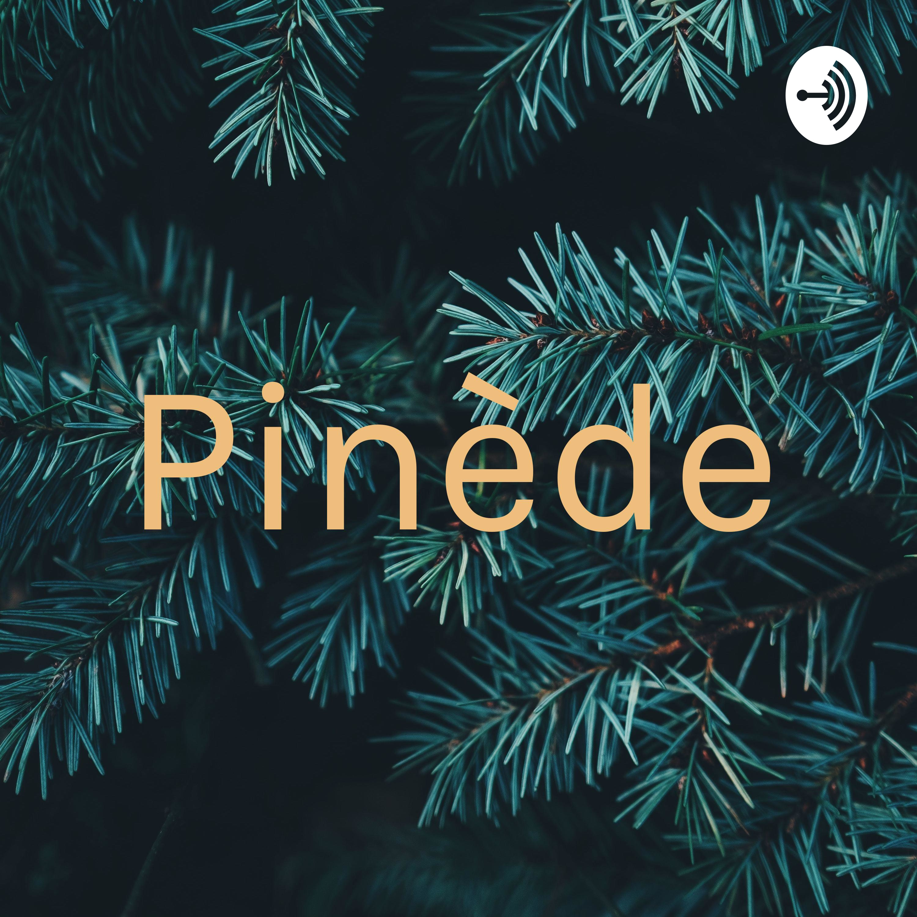 Illustration du podcast Pinède
