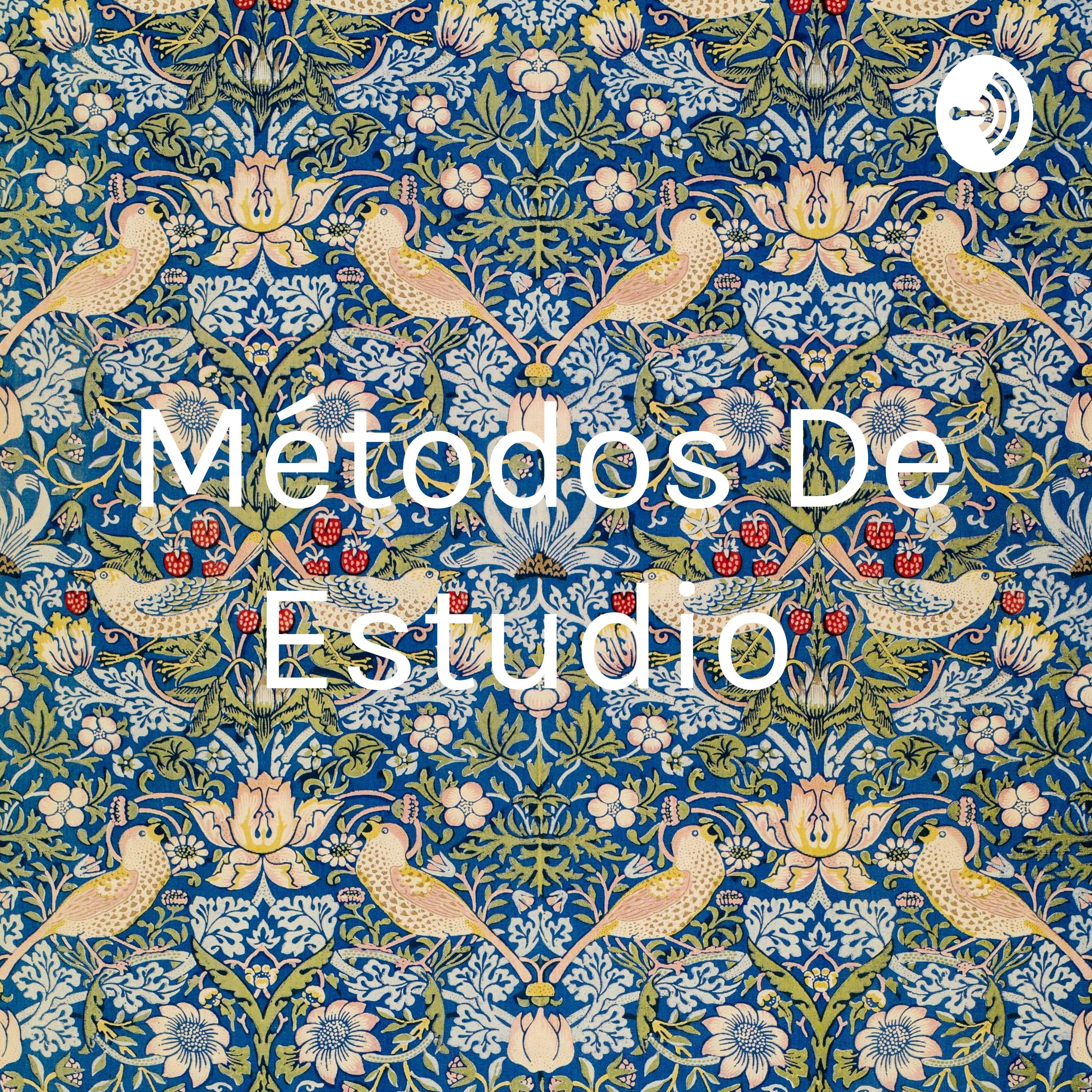 Métodos de estudio