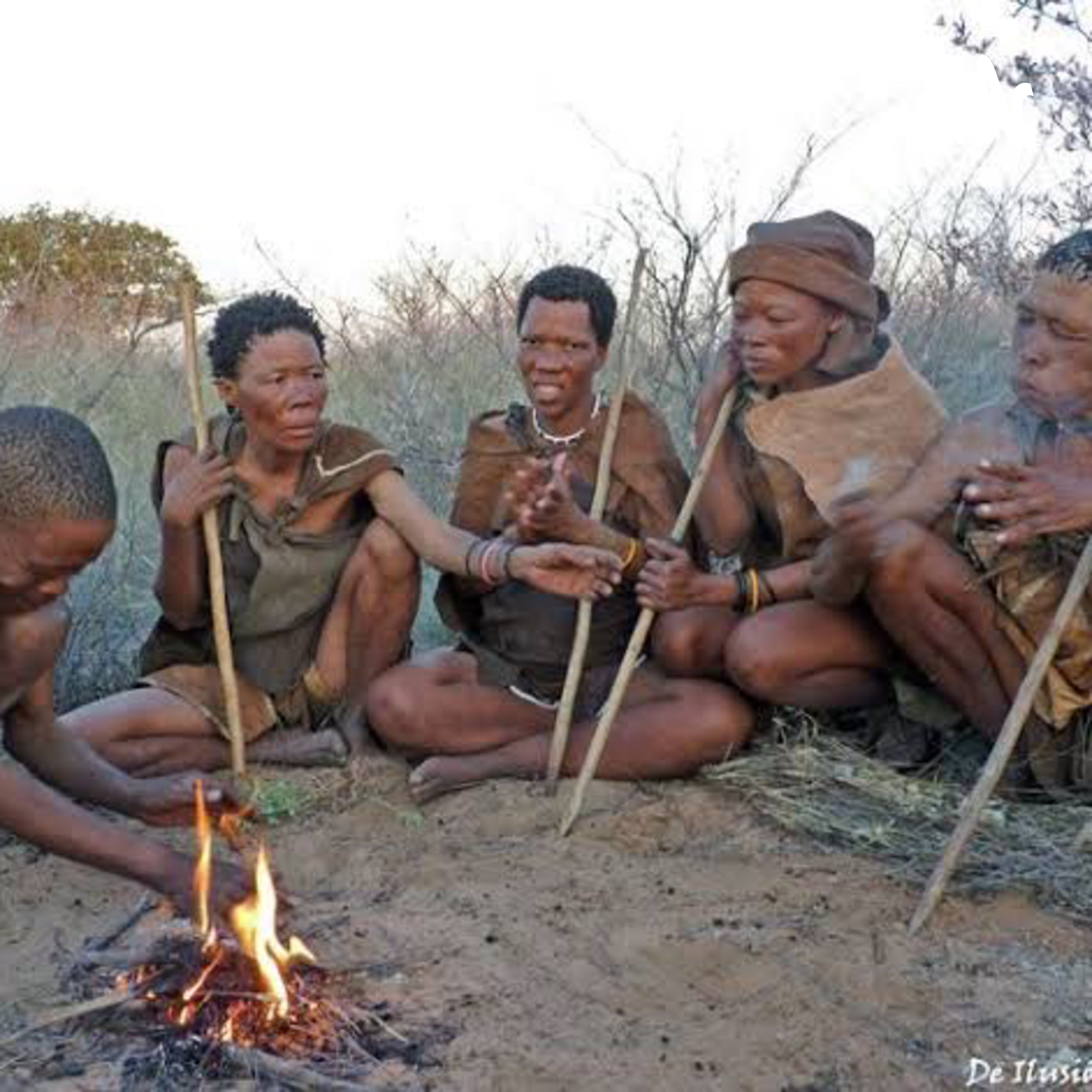 Culturas del mundo cover art