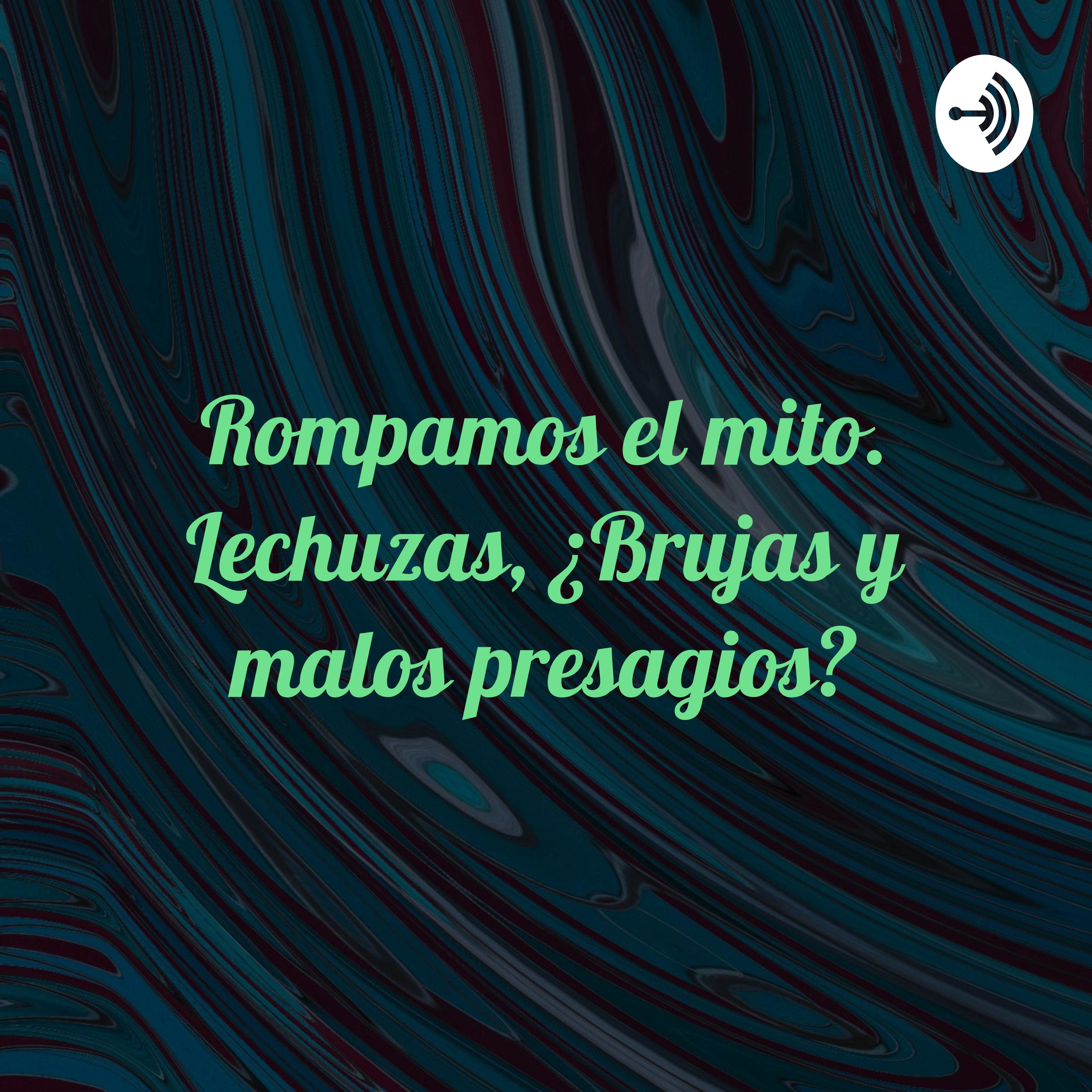 Rompamos el mito. Lechuzas, ¿Brujas y malos presagios?