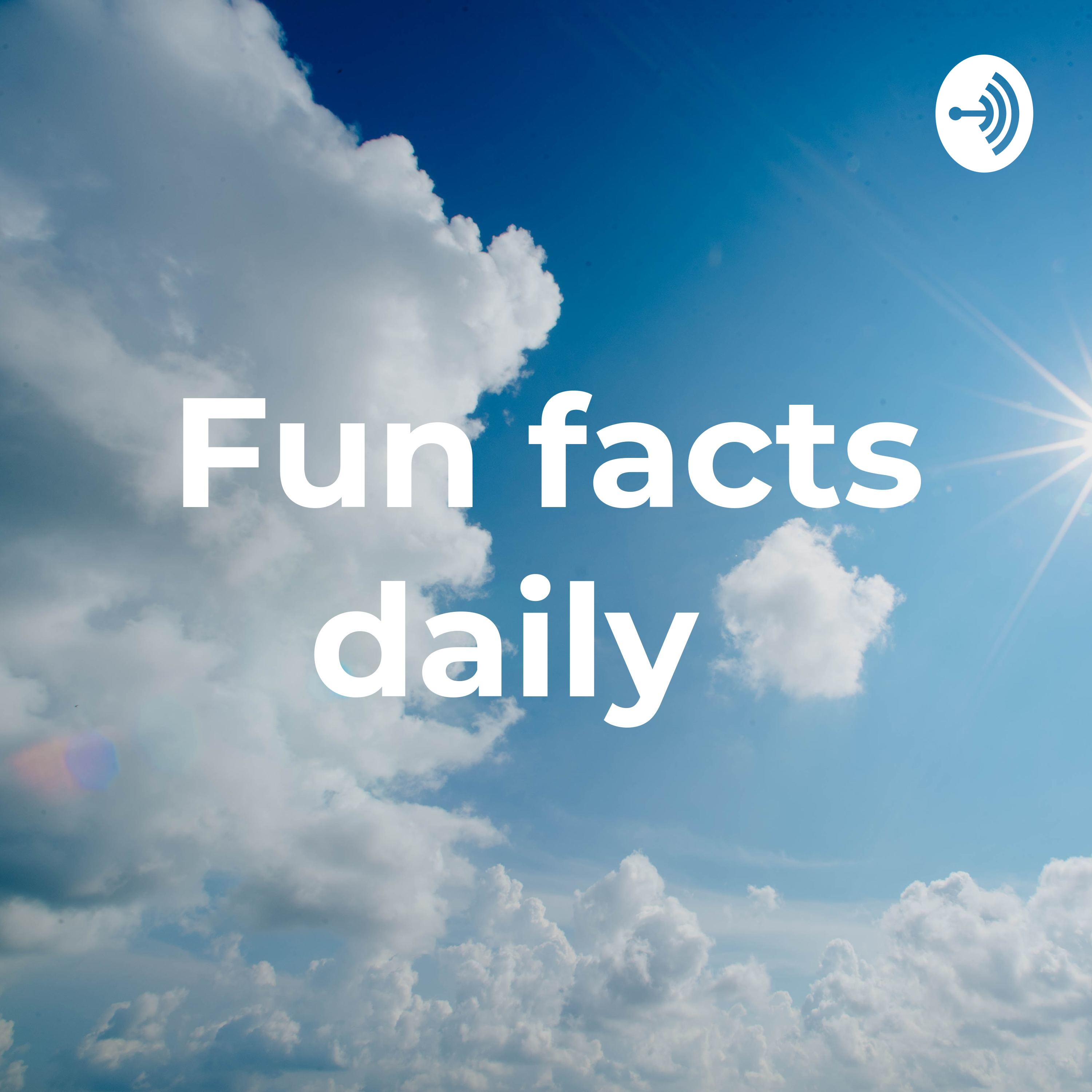 Fun facts daily ☀️
