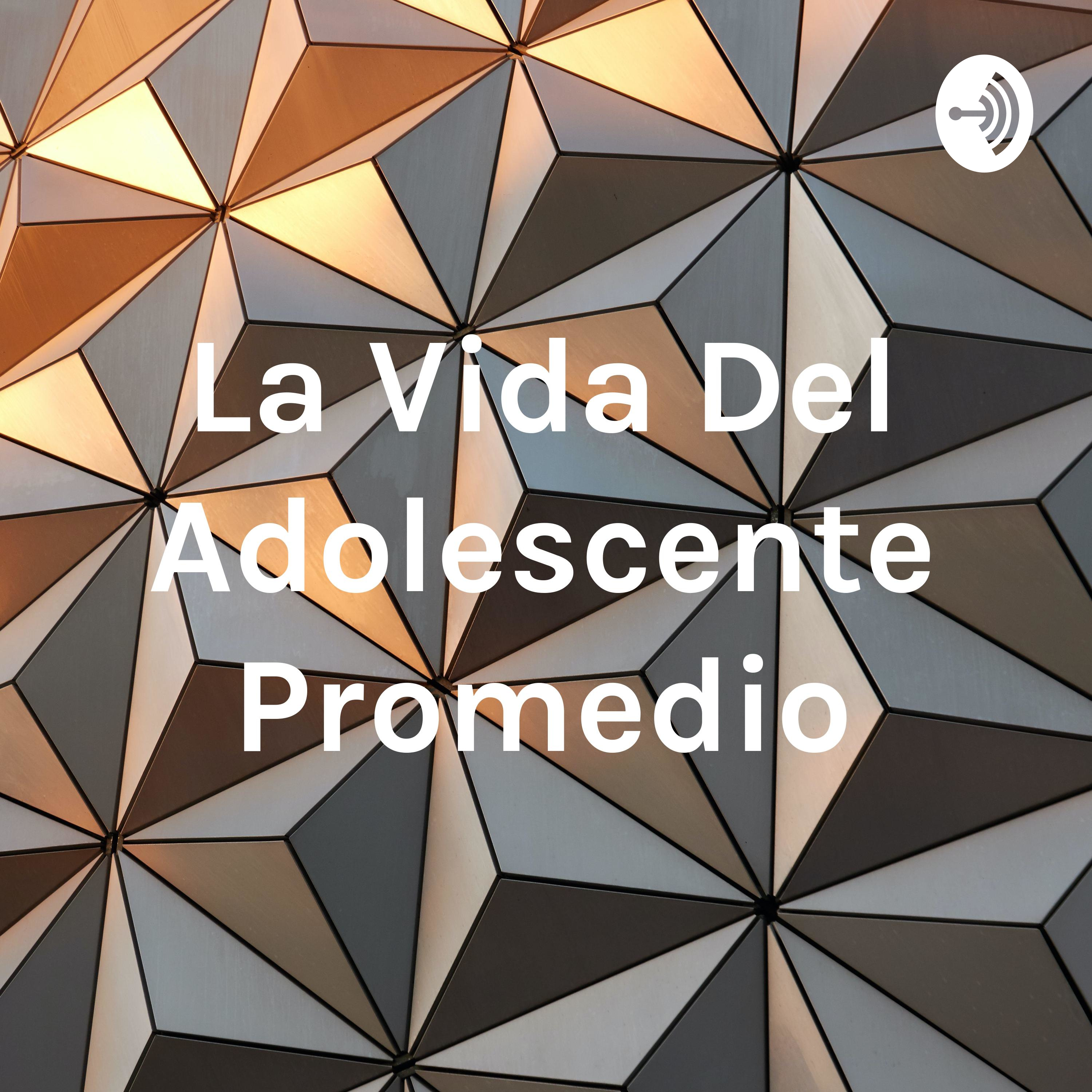 La Vida Del Adolescente Promedio