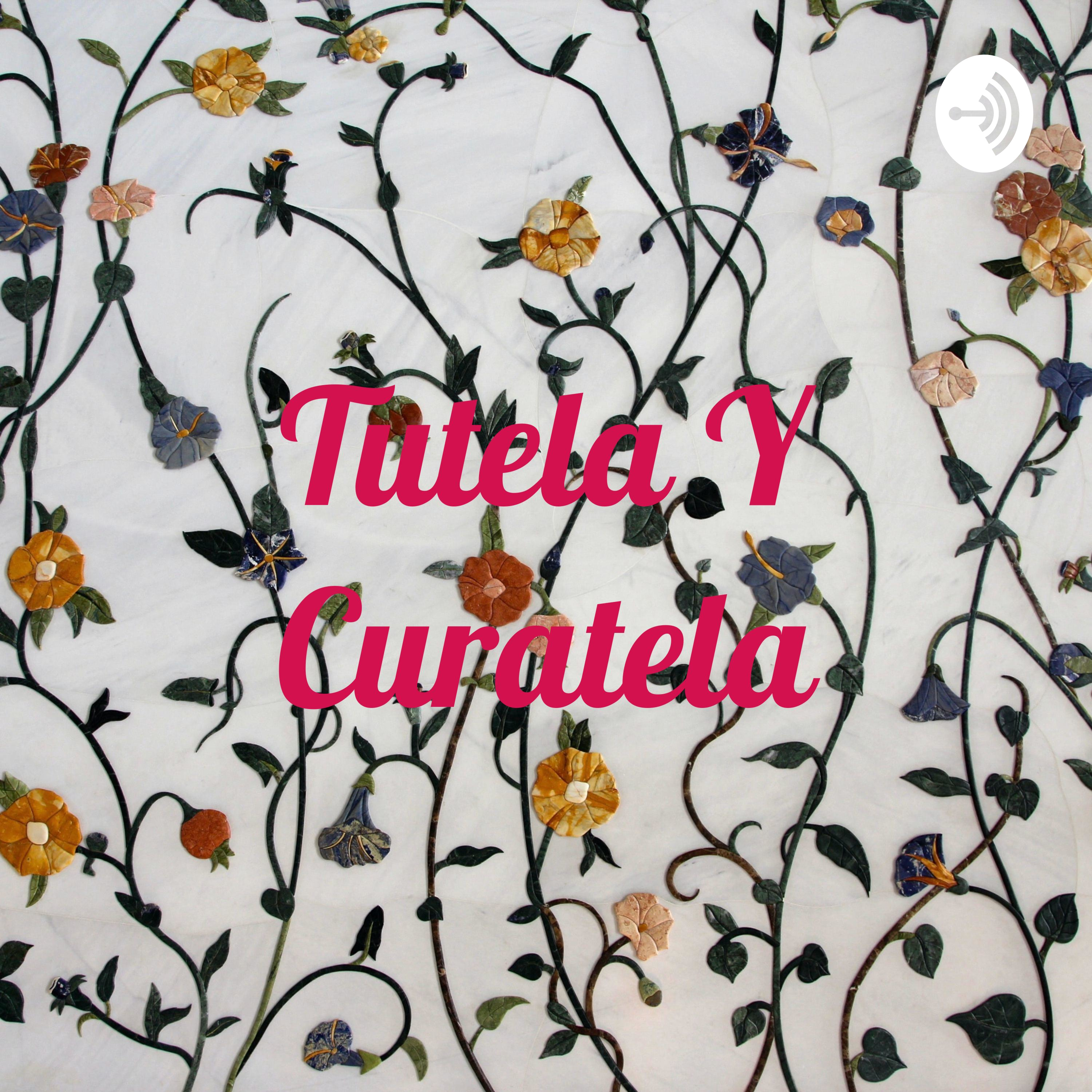 Tutela Y Curatela cover art