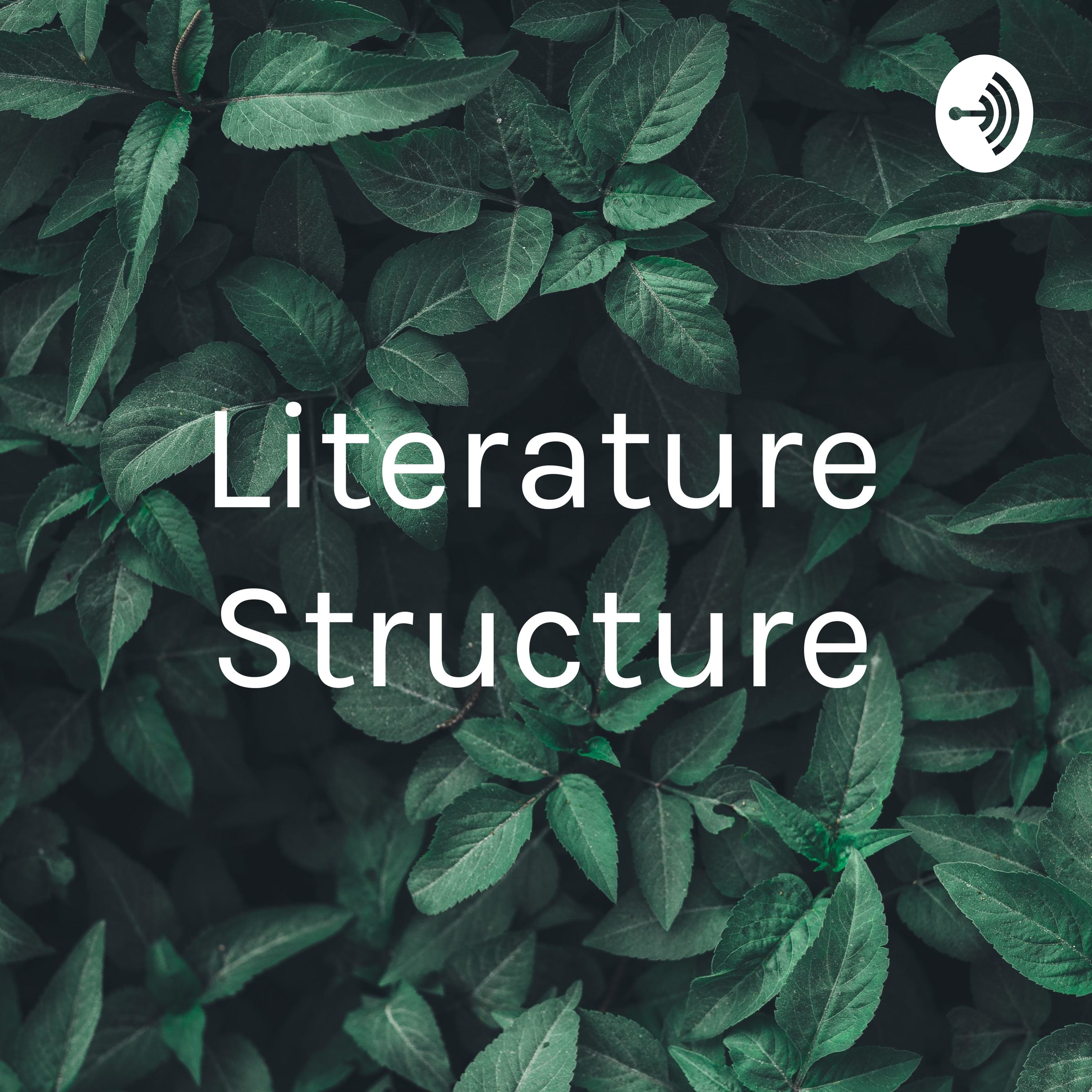 Literature Structure