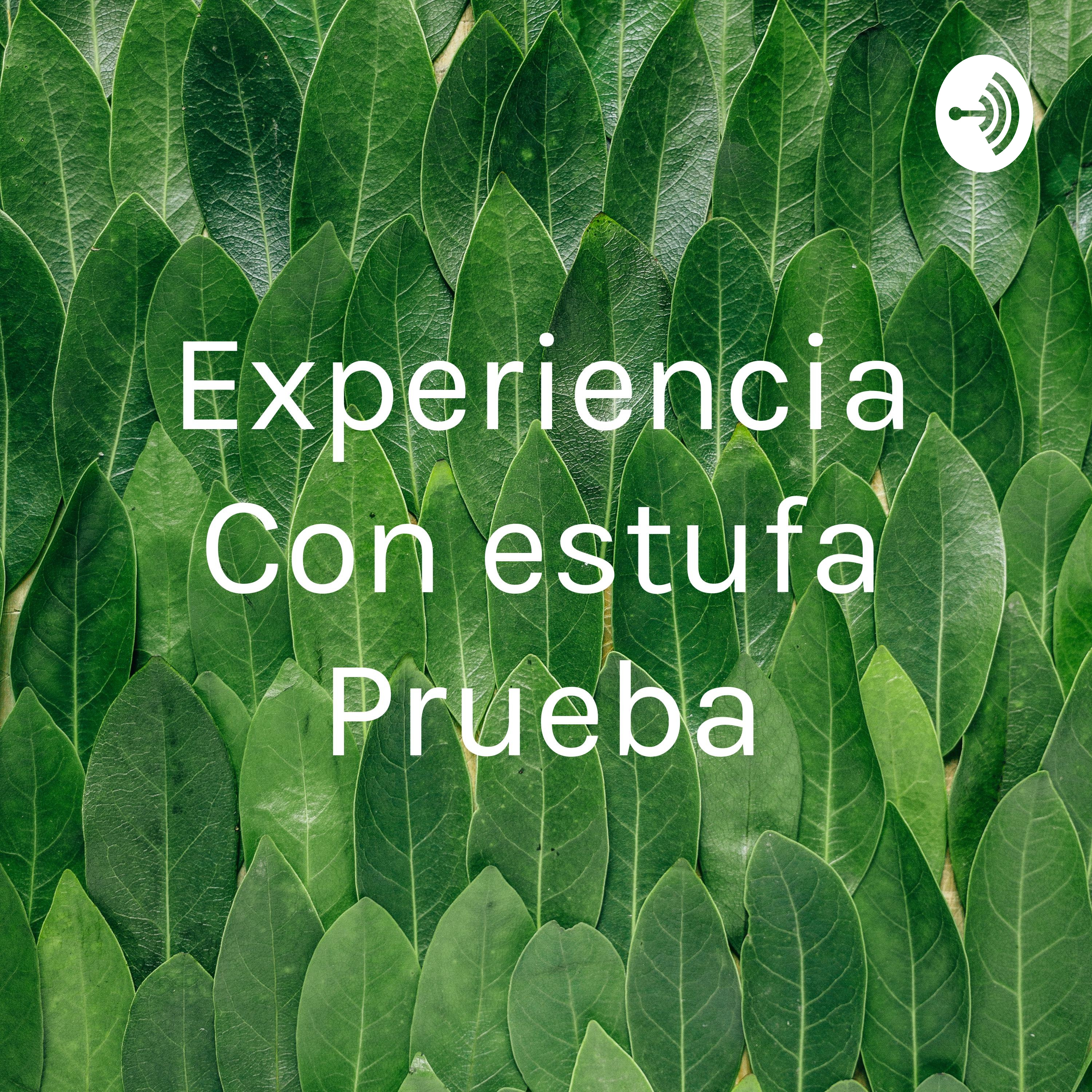 Experiencia Con estufa Prueba