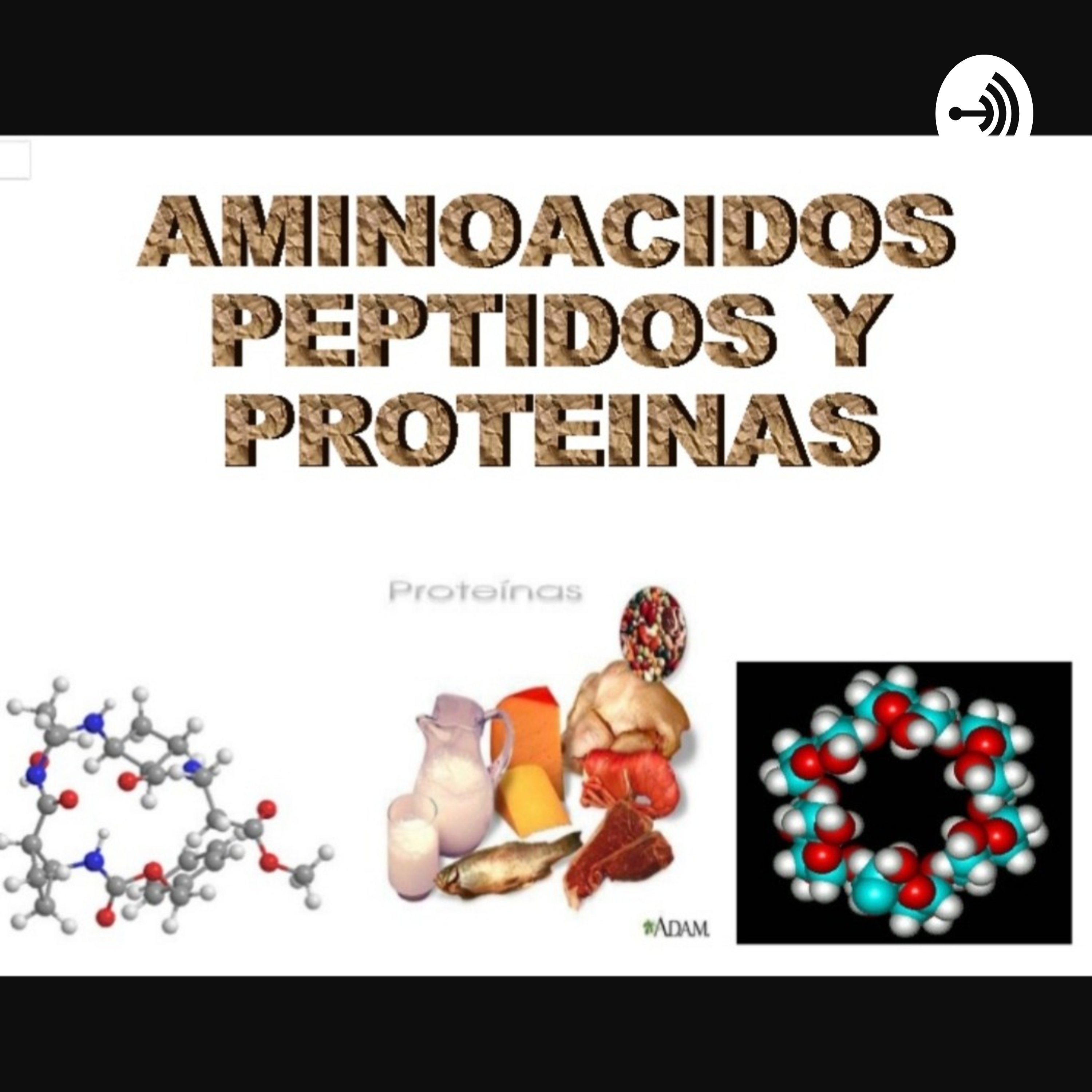 Bioquímica