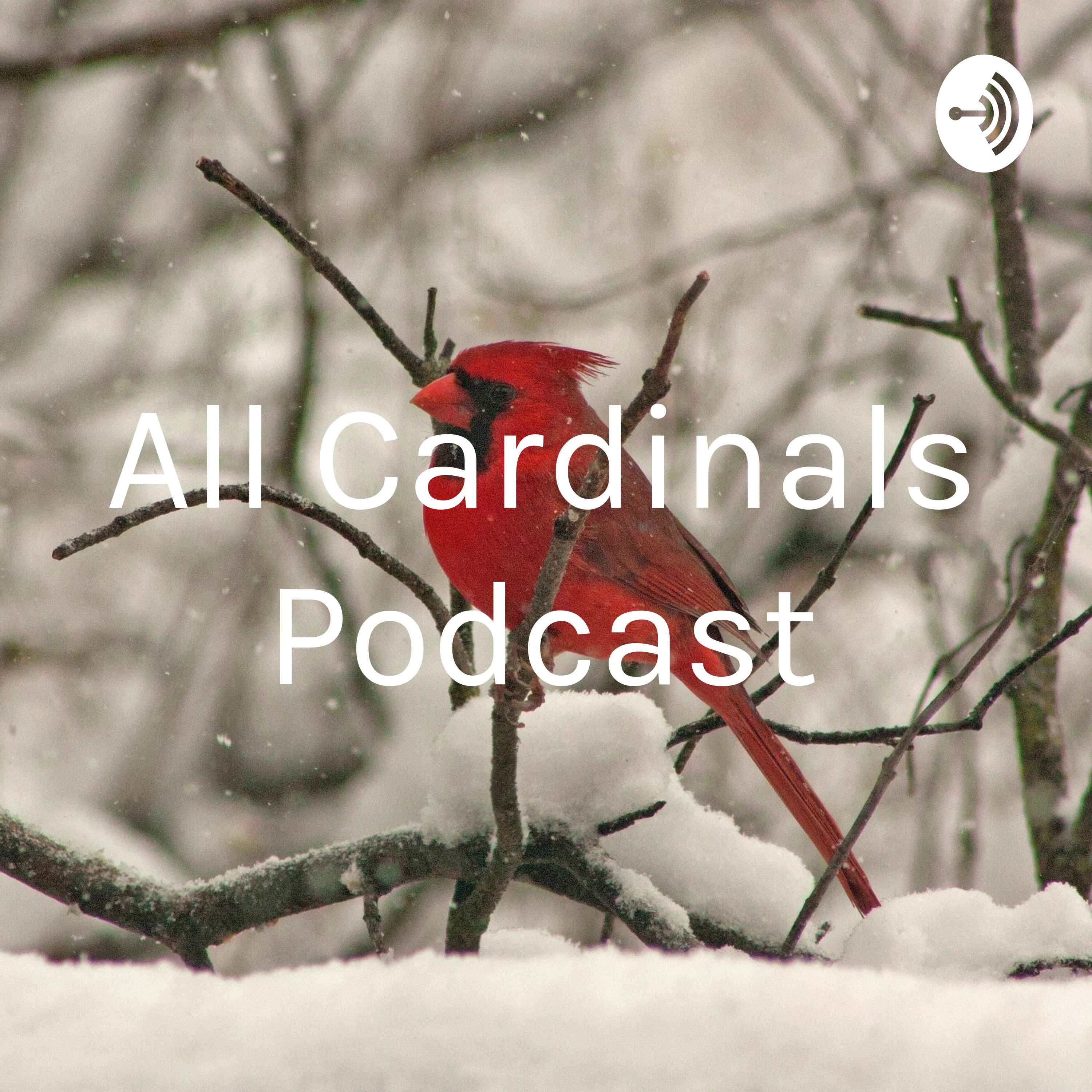 All Cardinals Podcast