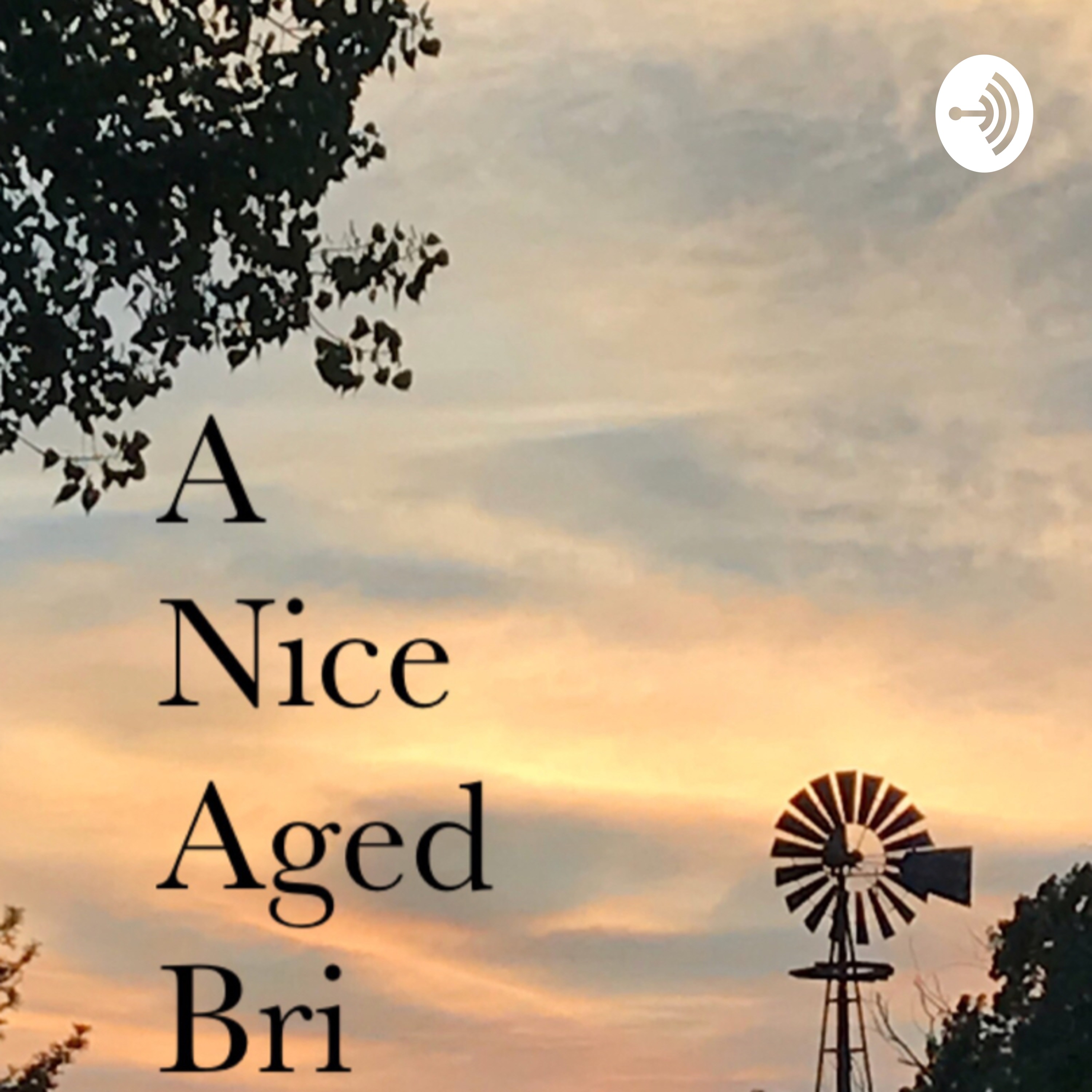 A Nice Aged Bri