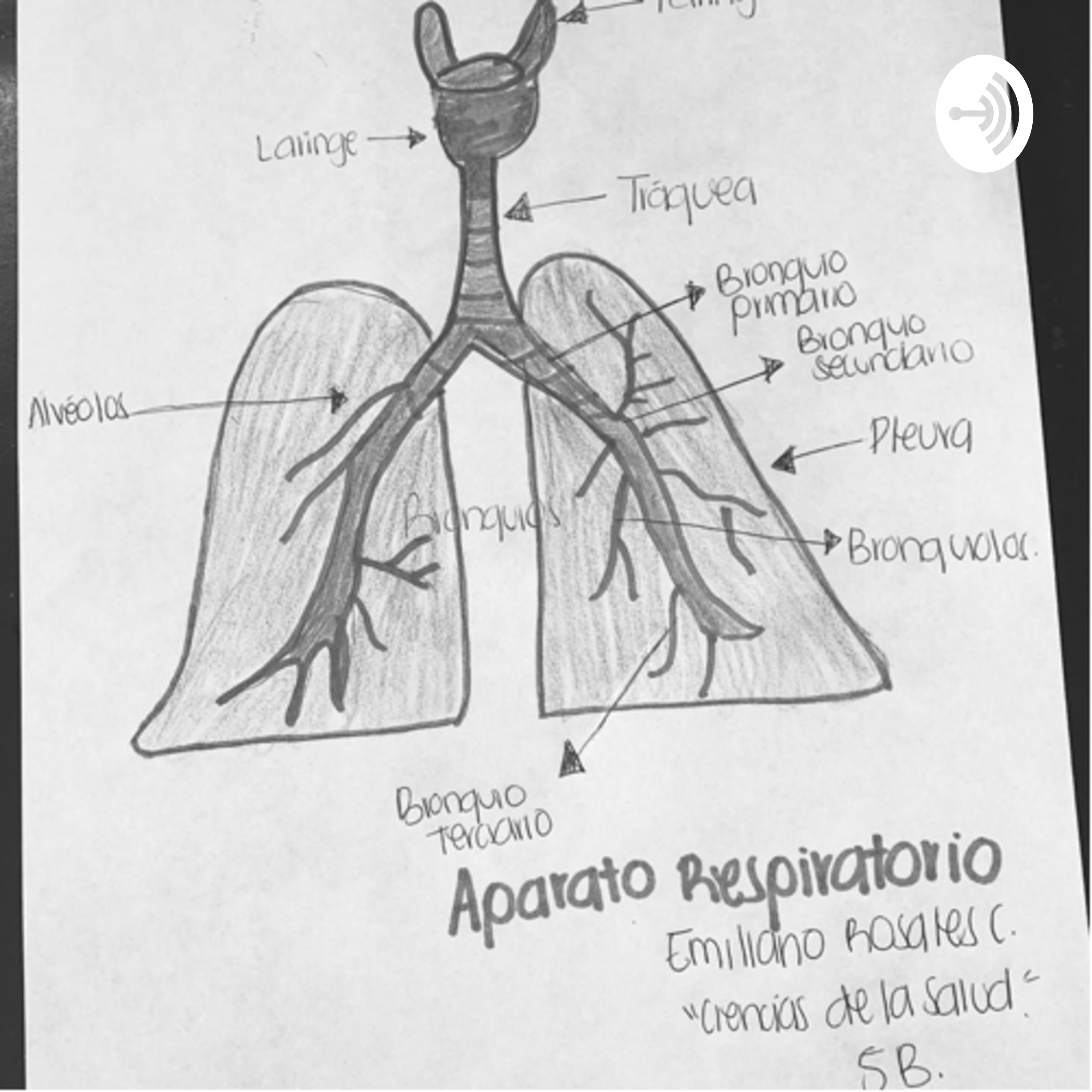 Sistema respiratorio Emiliano