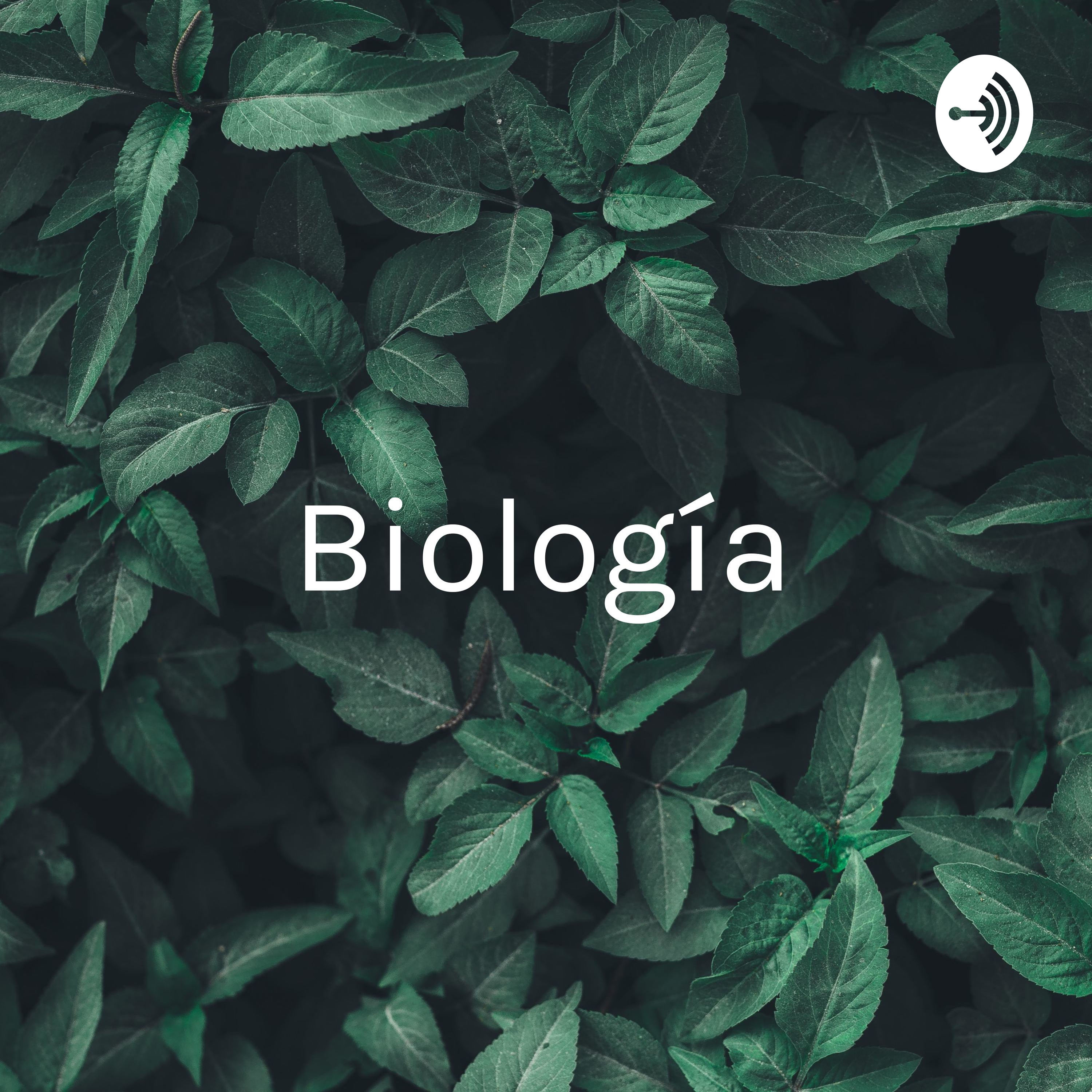 Biología - Las Plantas y su medio 