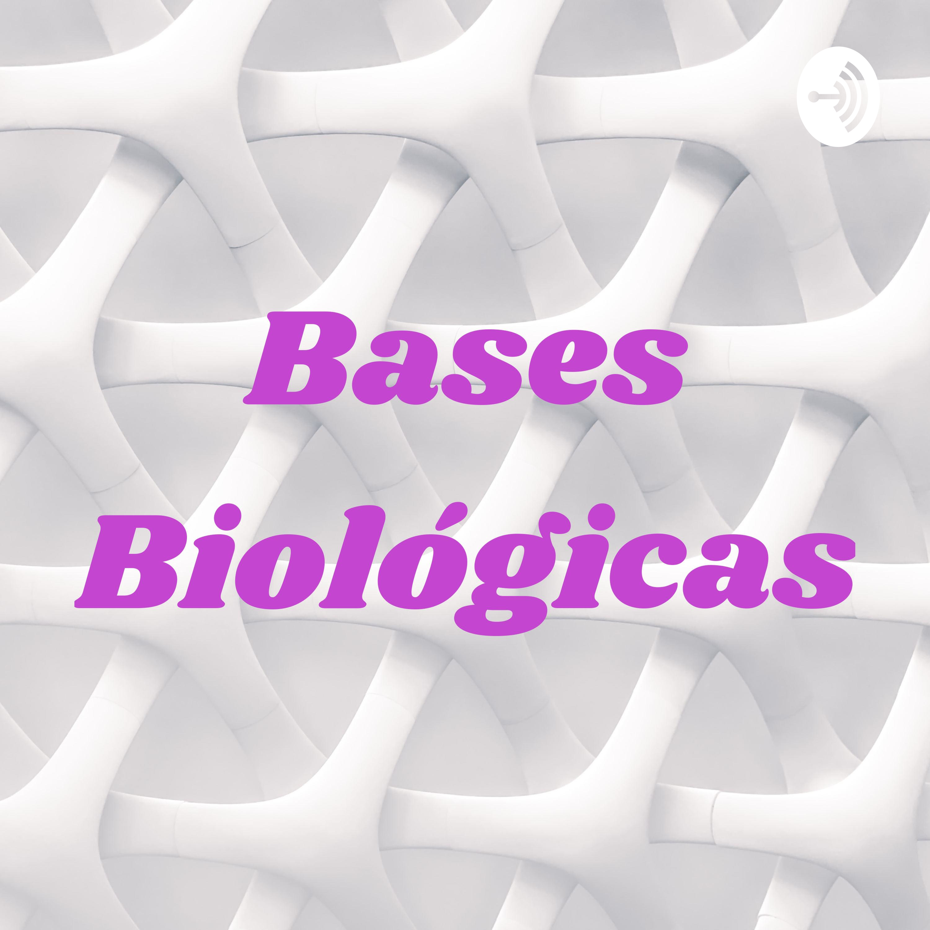 Bases Biológicas