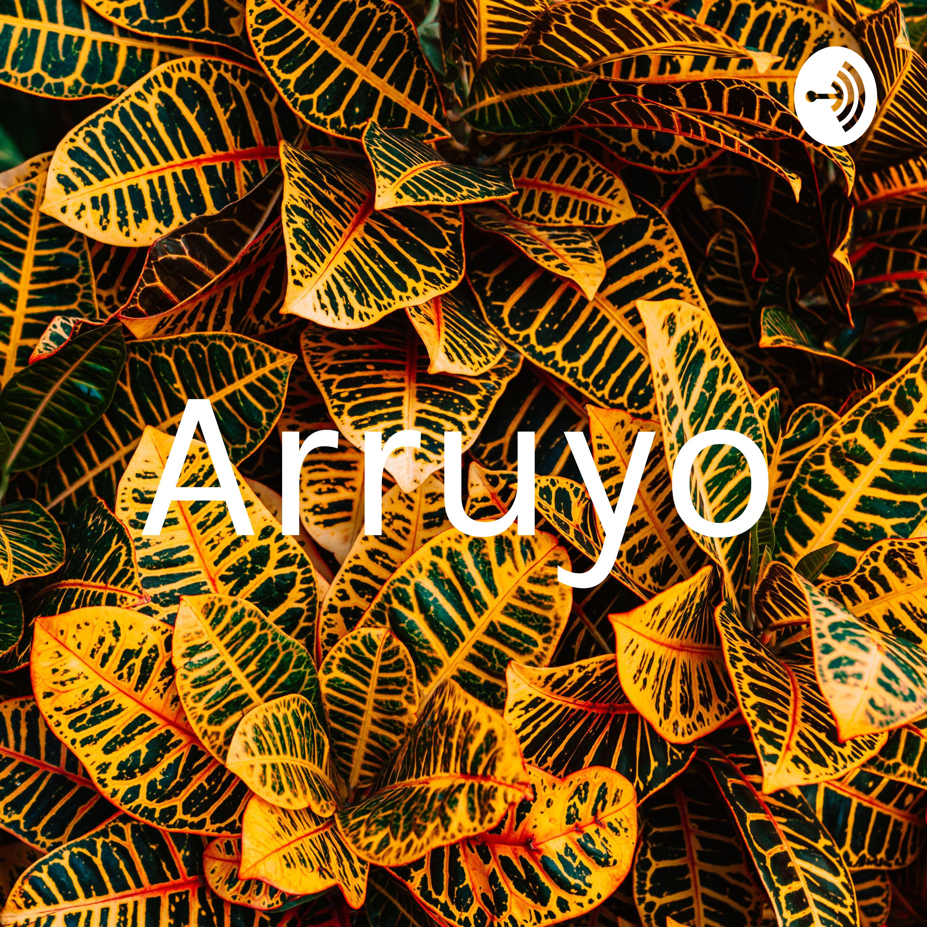 Arruyo