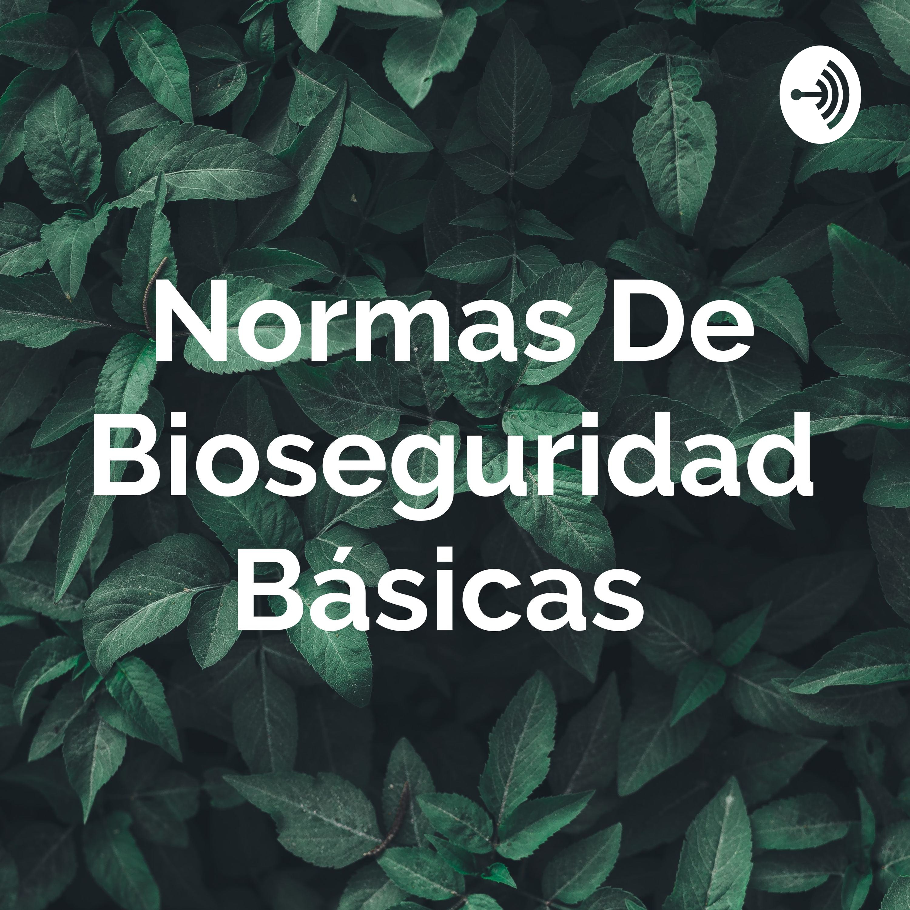 Normas De Bioseguridad Básicas 