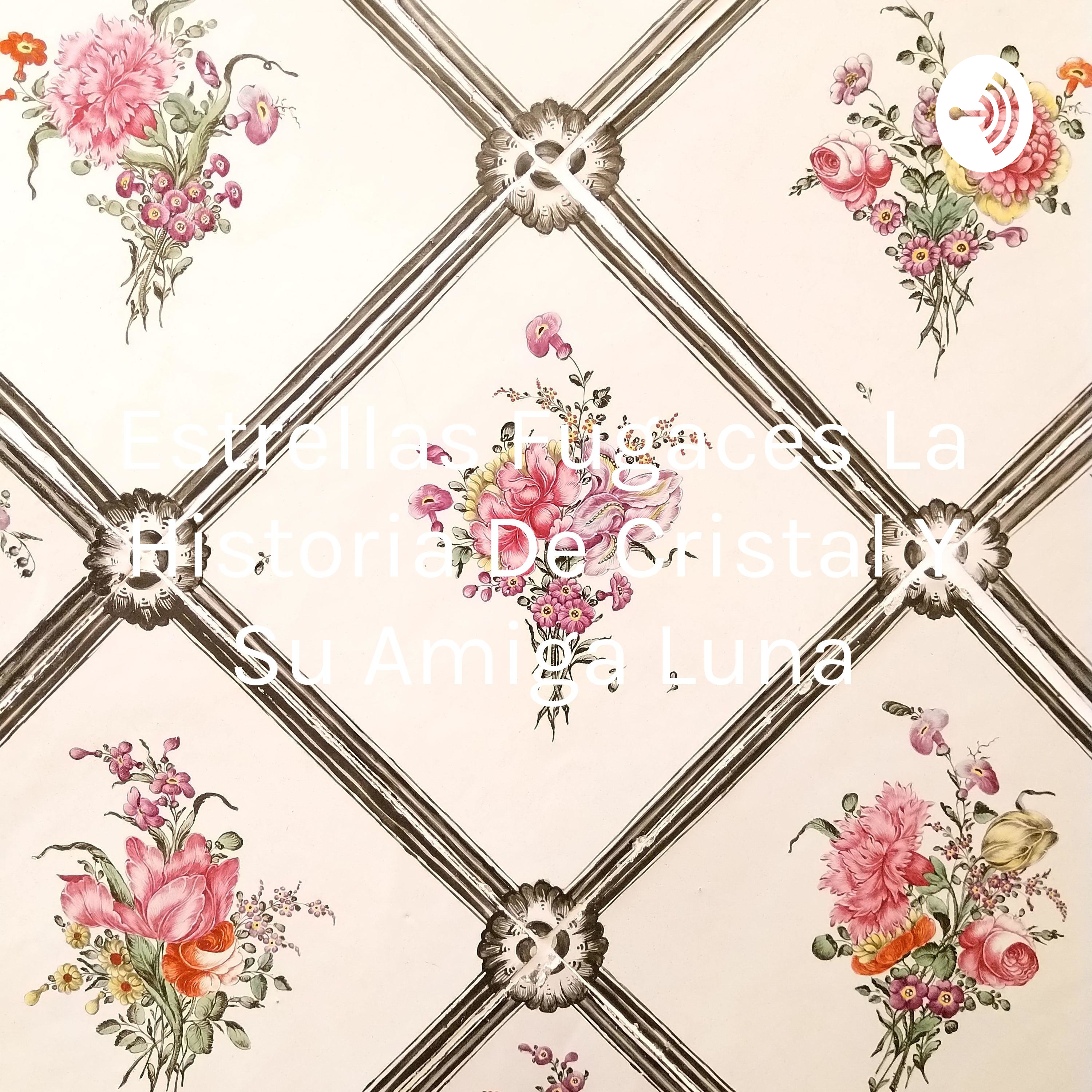 Estrellas Fugaces La Historia De Cristal Y Su Amiga Luna