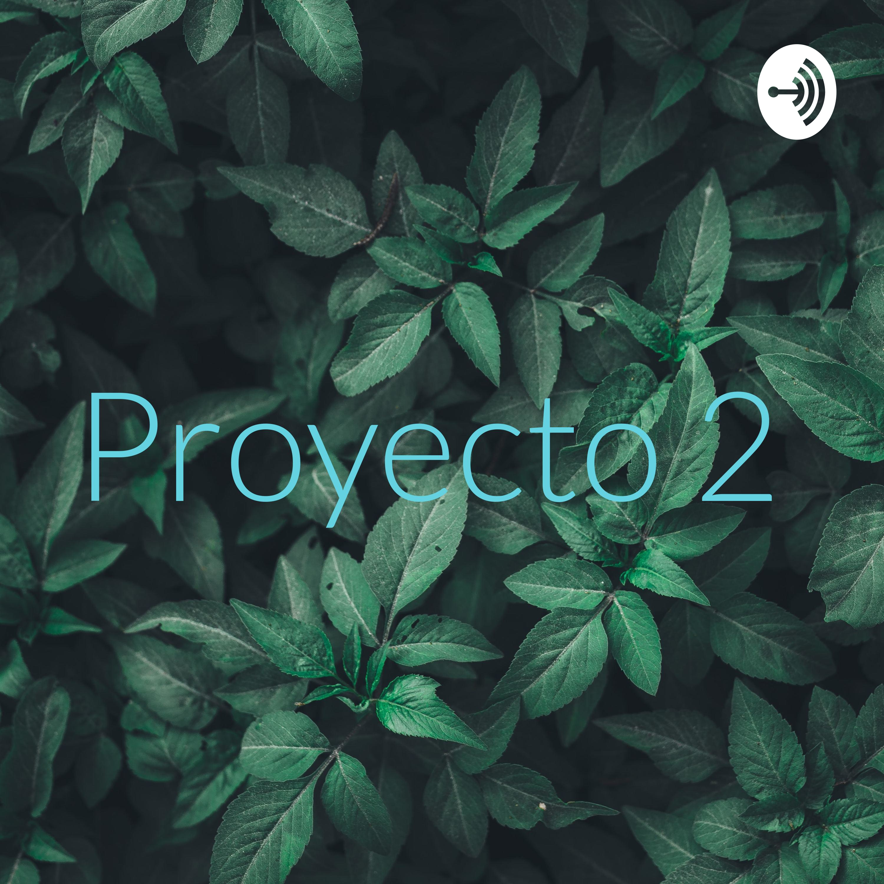Proyecto 2 