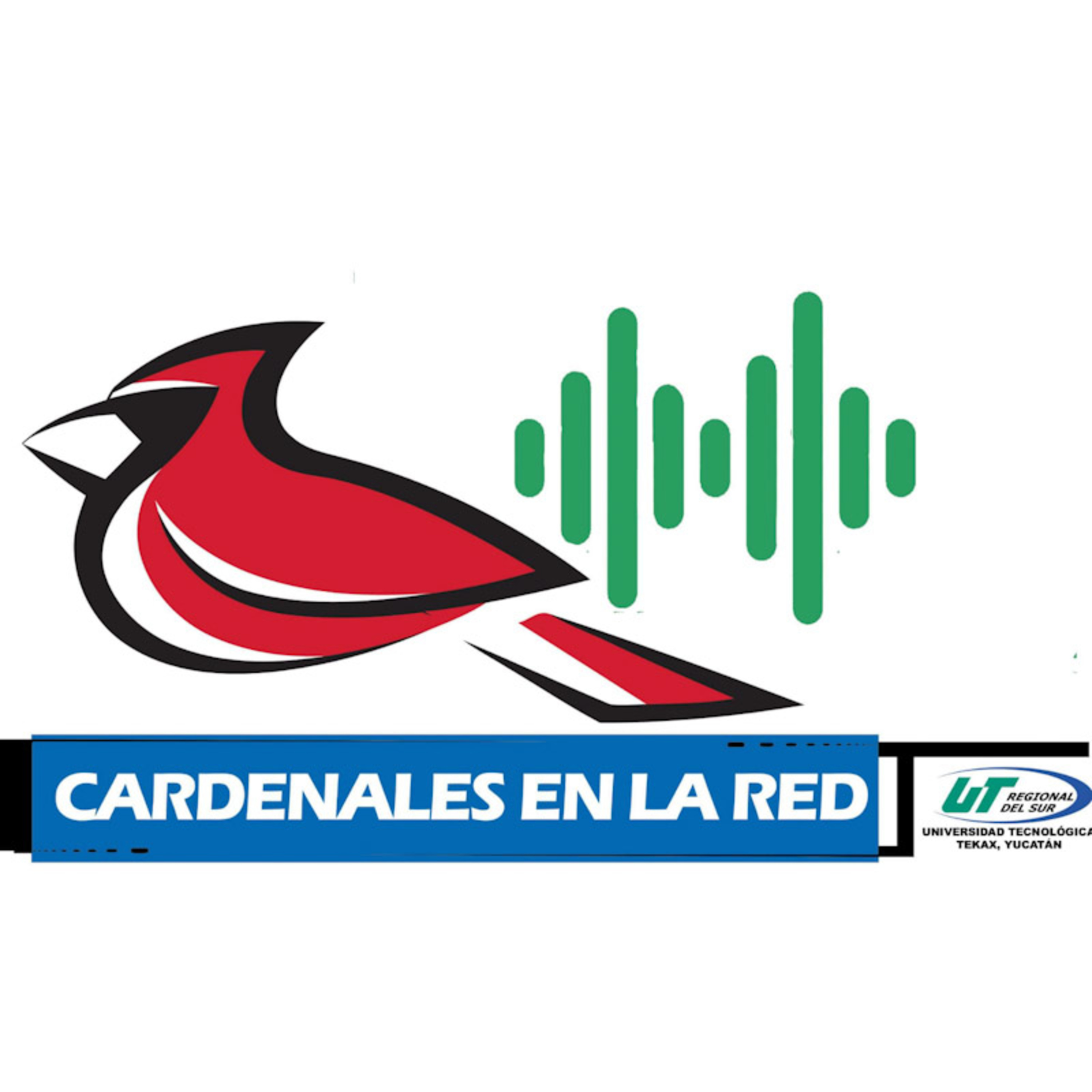 #Cardenales En La Red cover