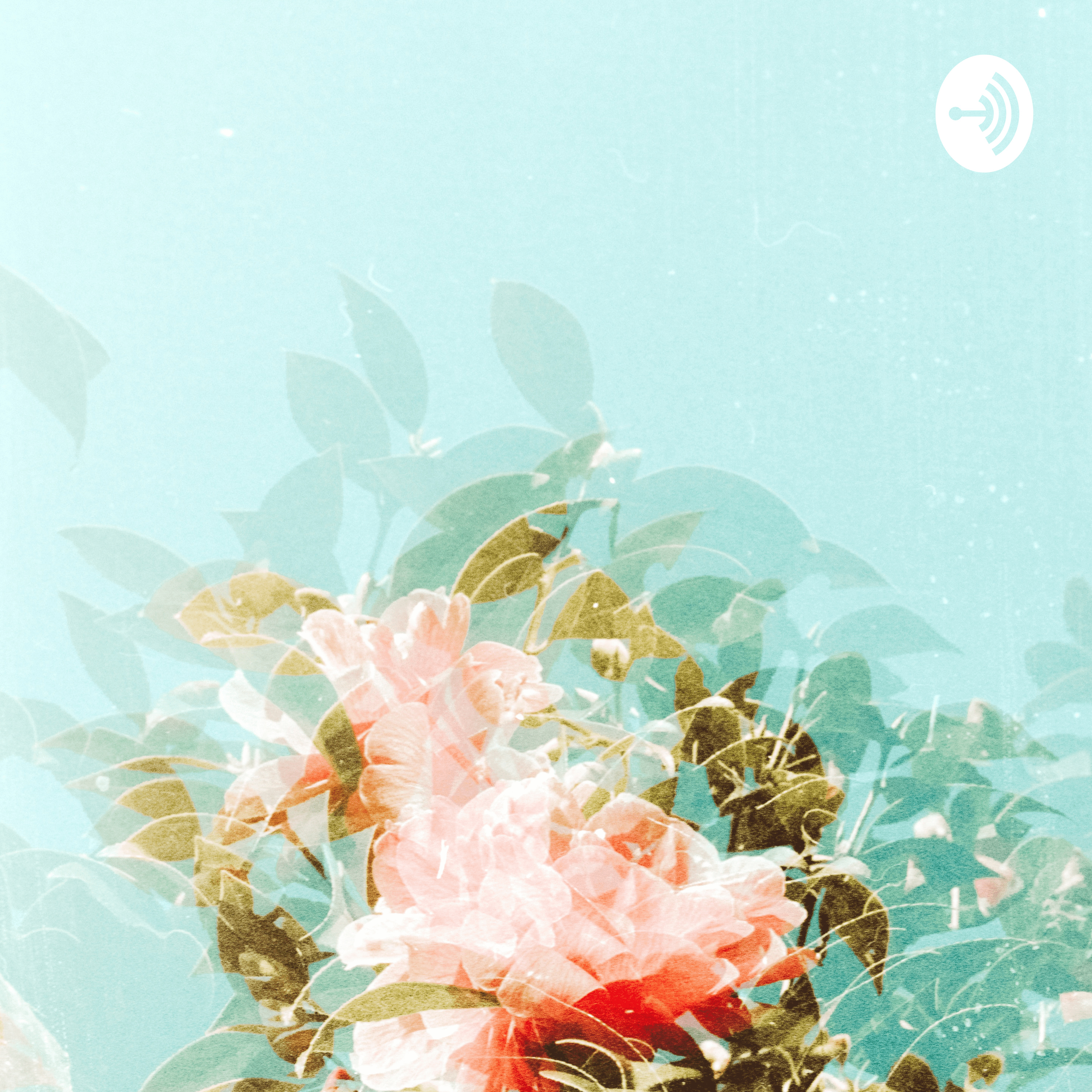 MÂY LANG THANG podcast artwork