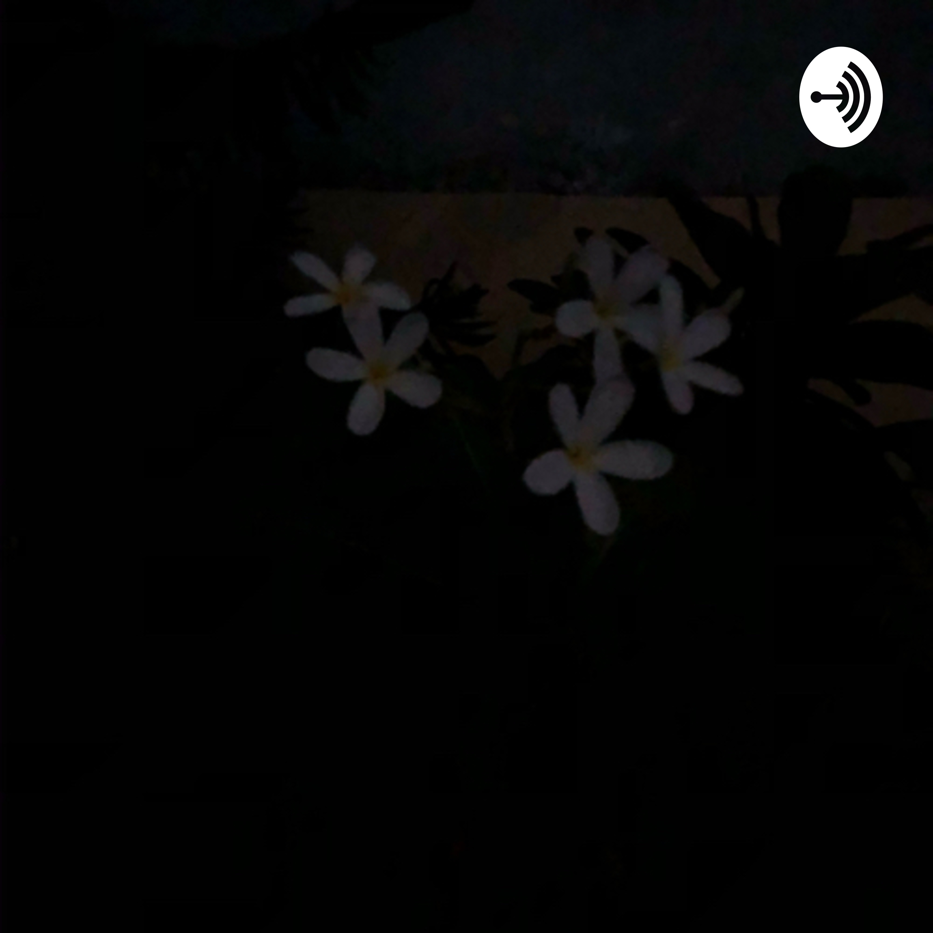 First episode 
