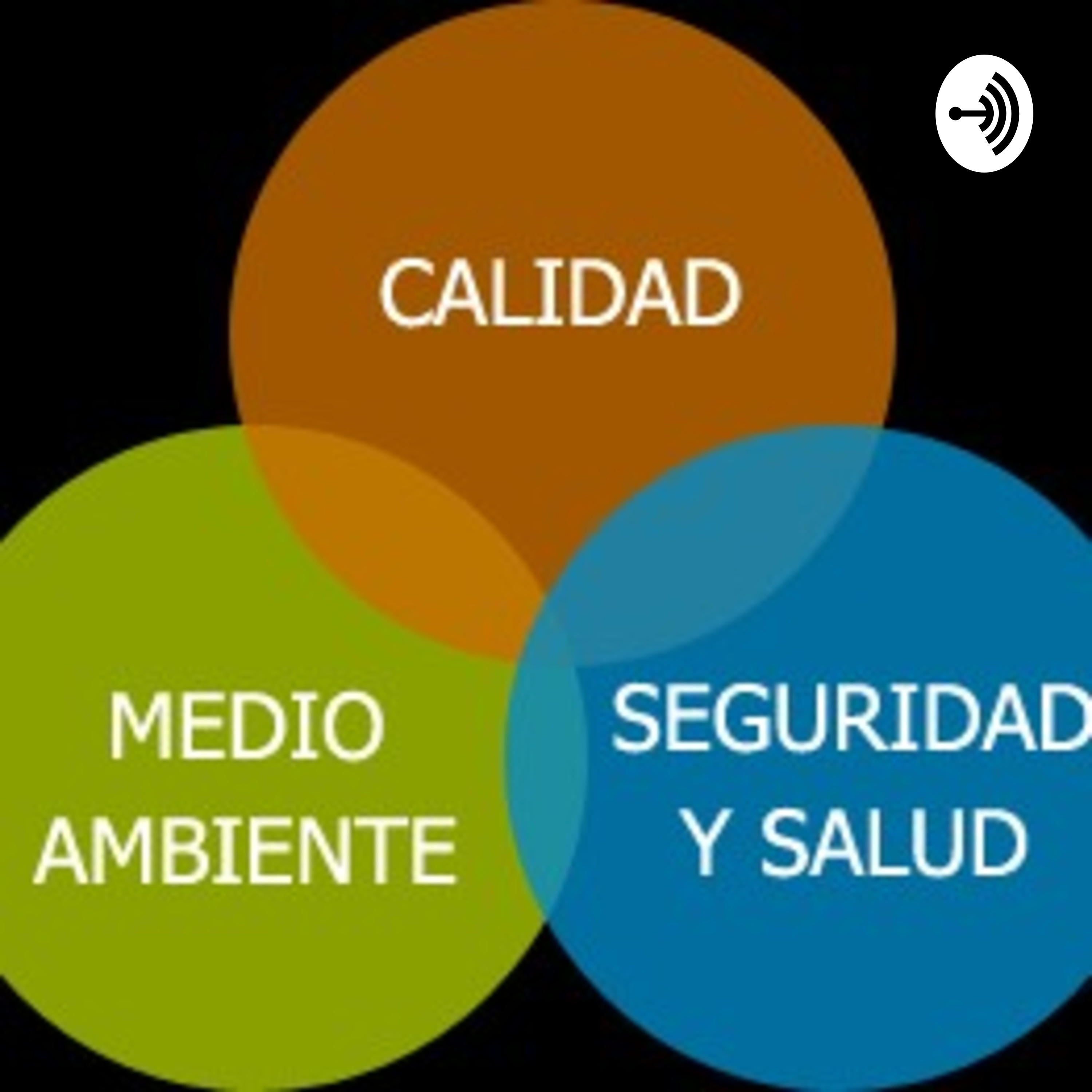 SISTEMAS INTEGRADOS DE GESTIÓN