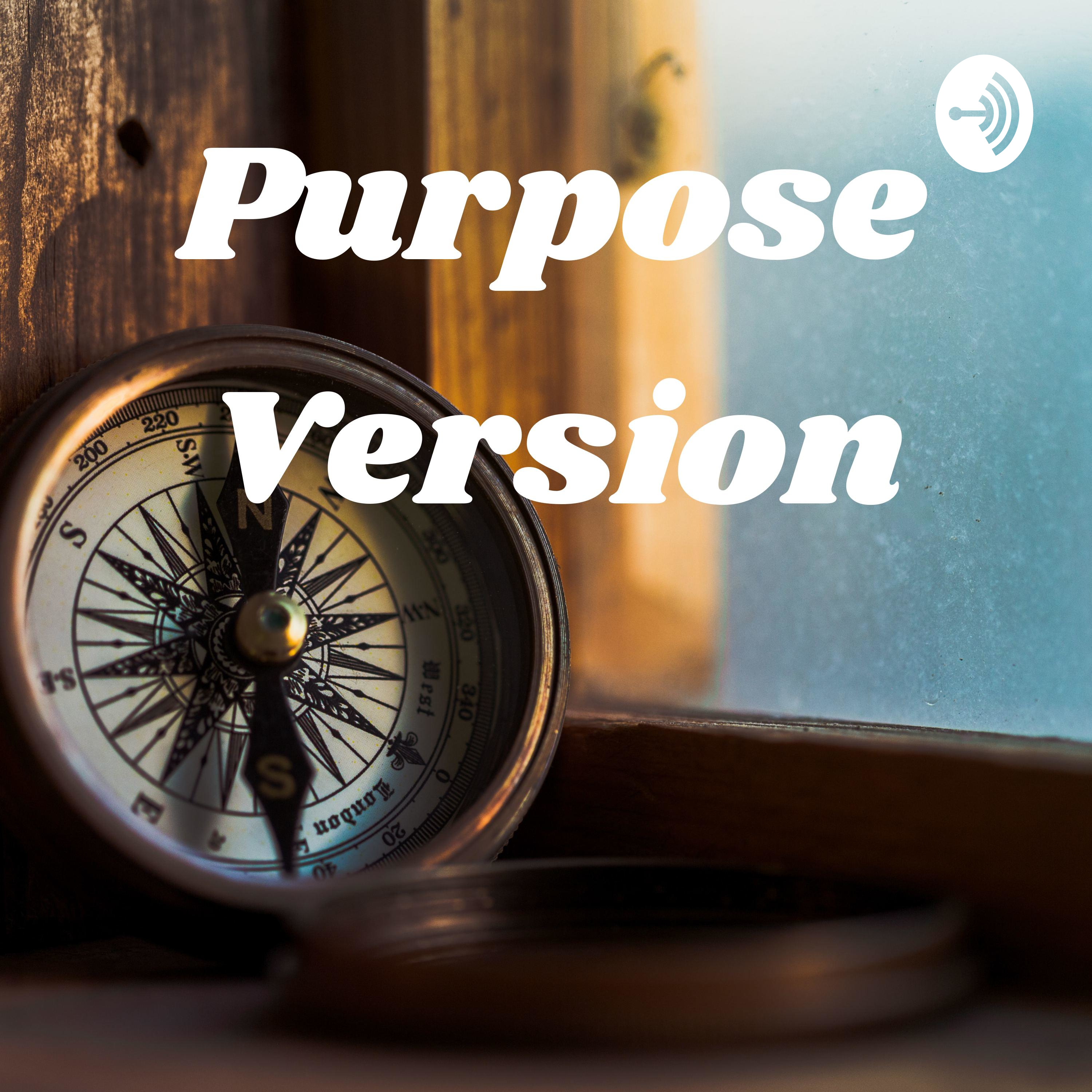 Purpose Version