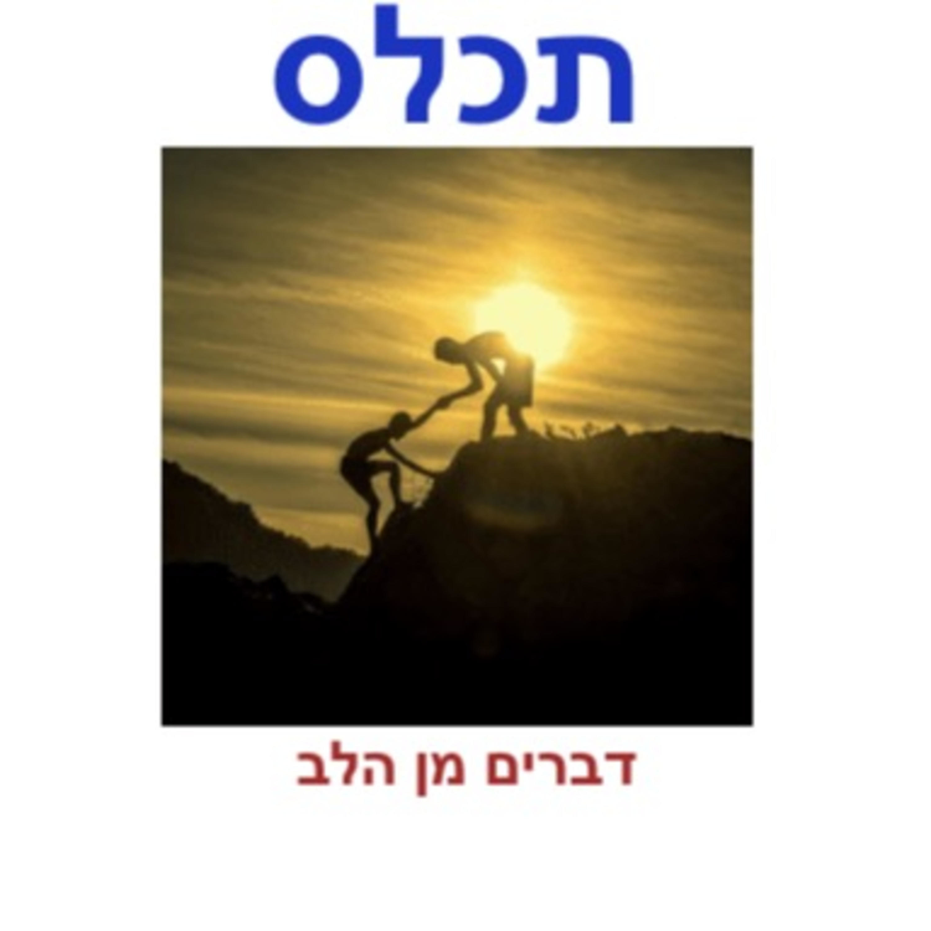 תכלס