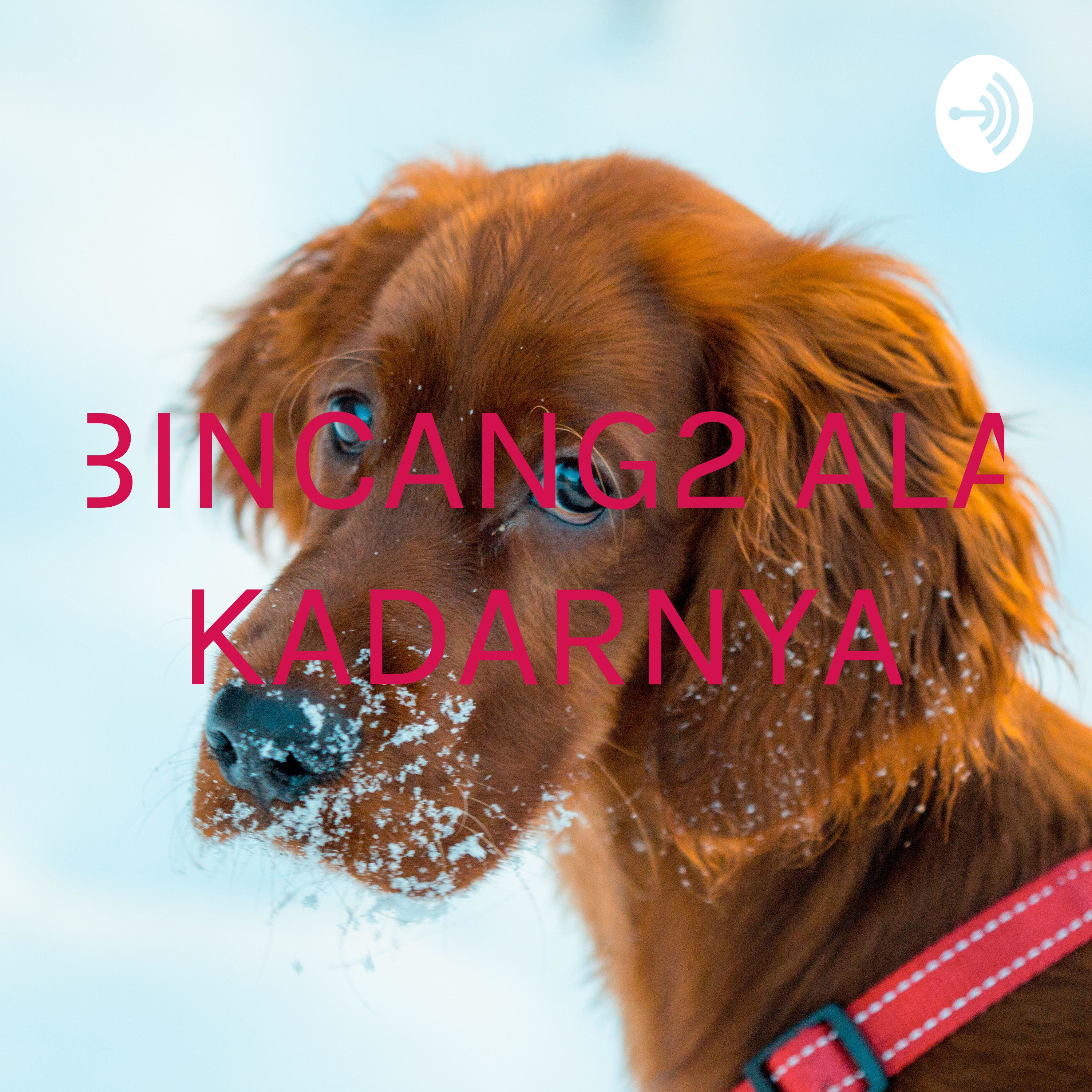 BINCANG2 ALA KADARNYA