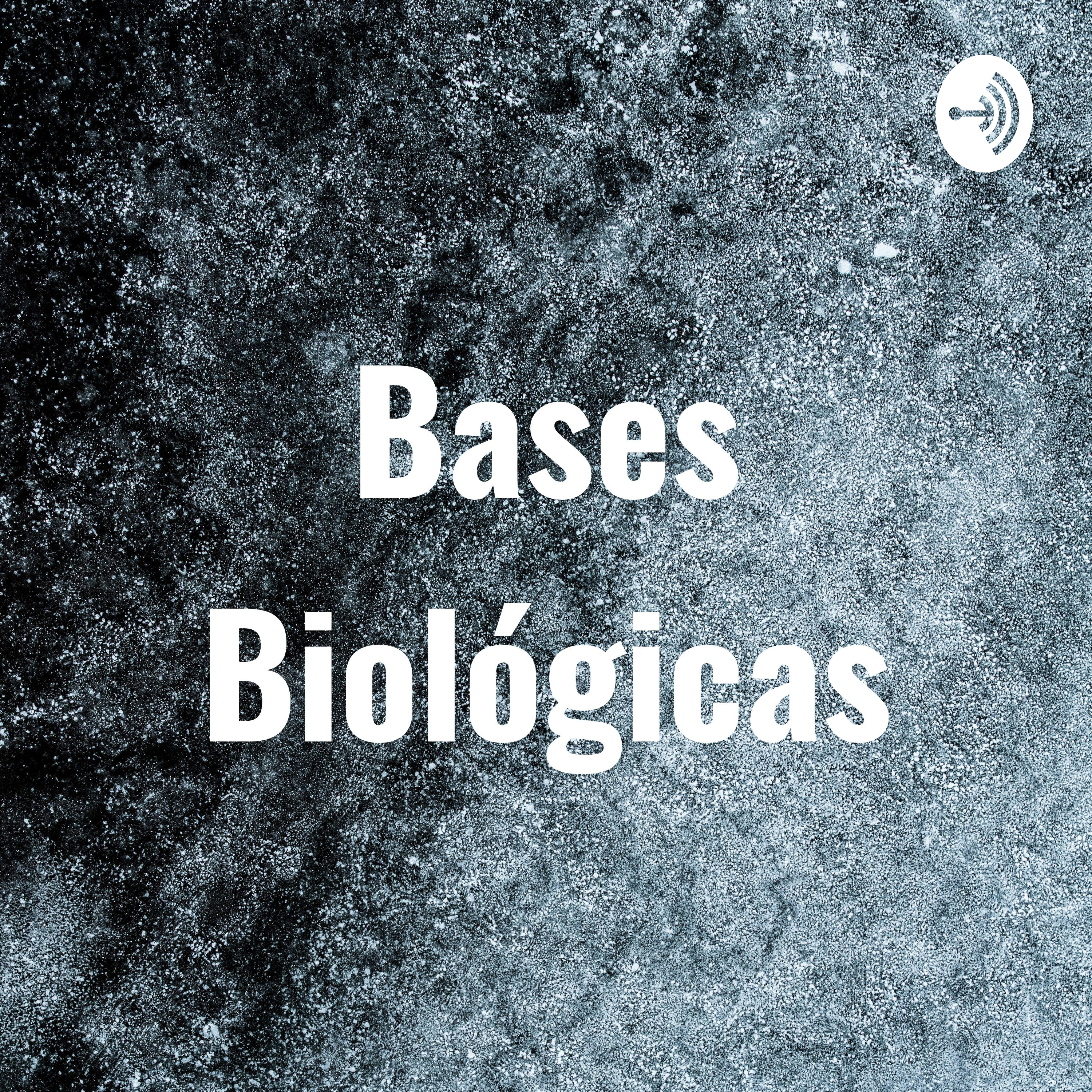 Bases Biológicas