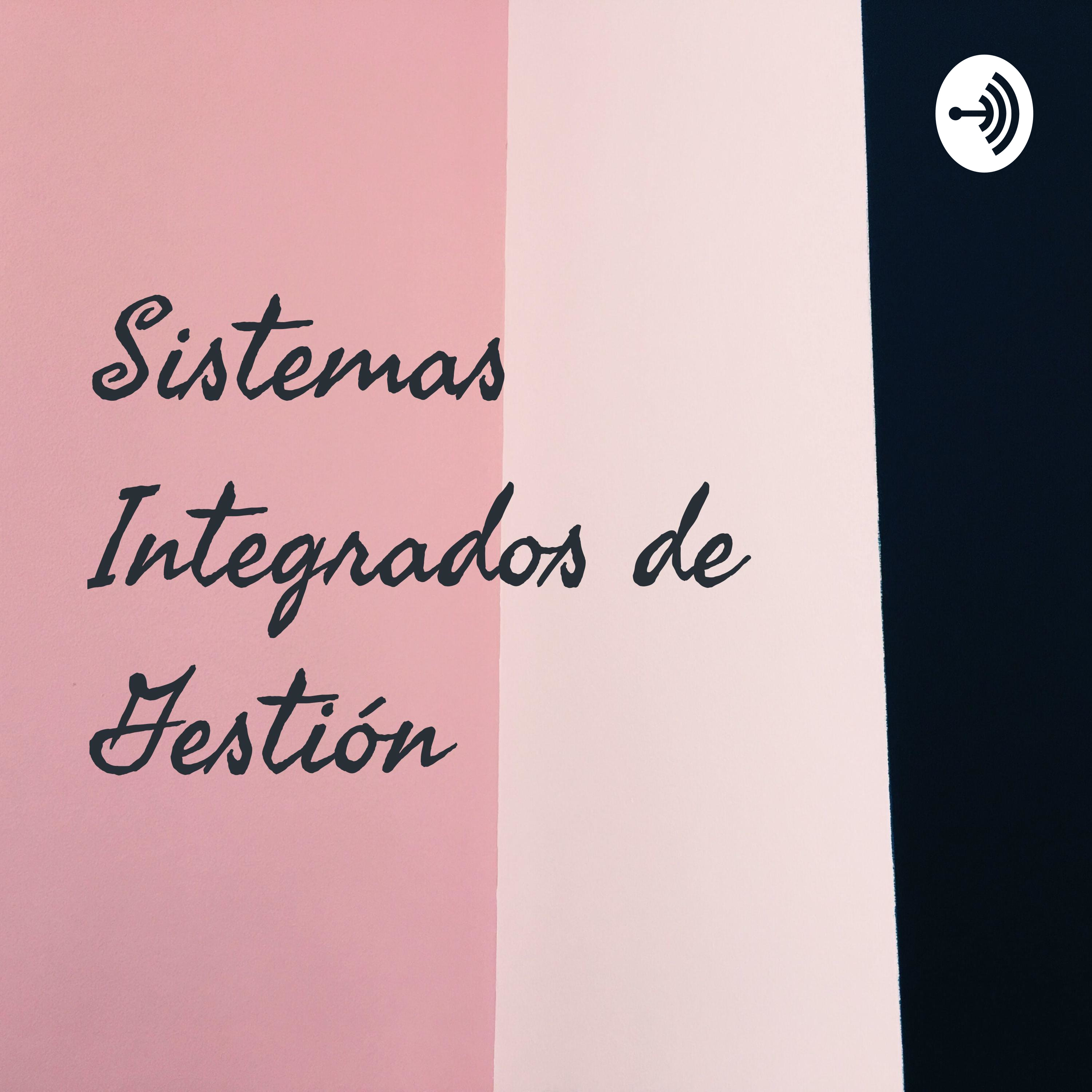 Sistemas Integrados de Gestión 