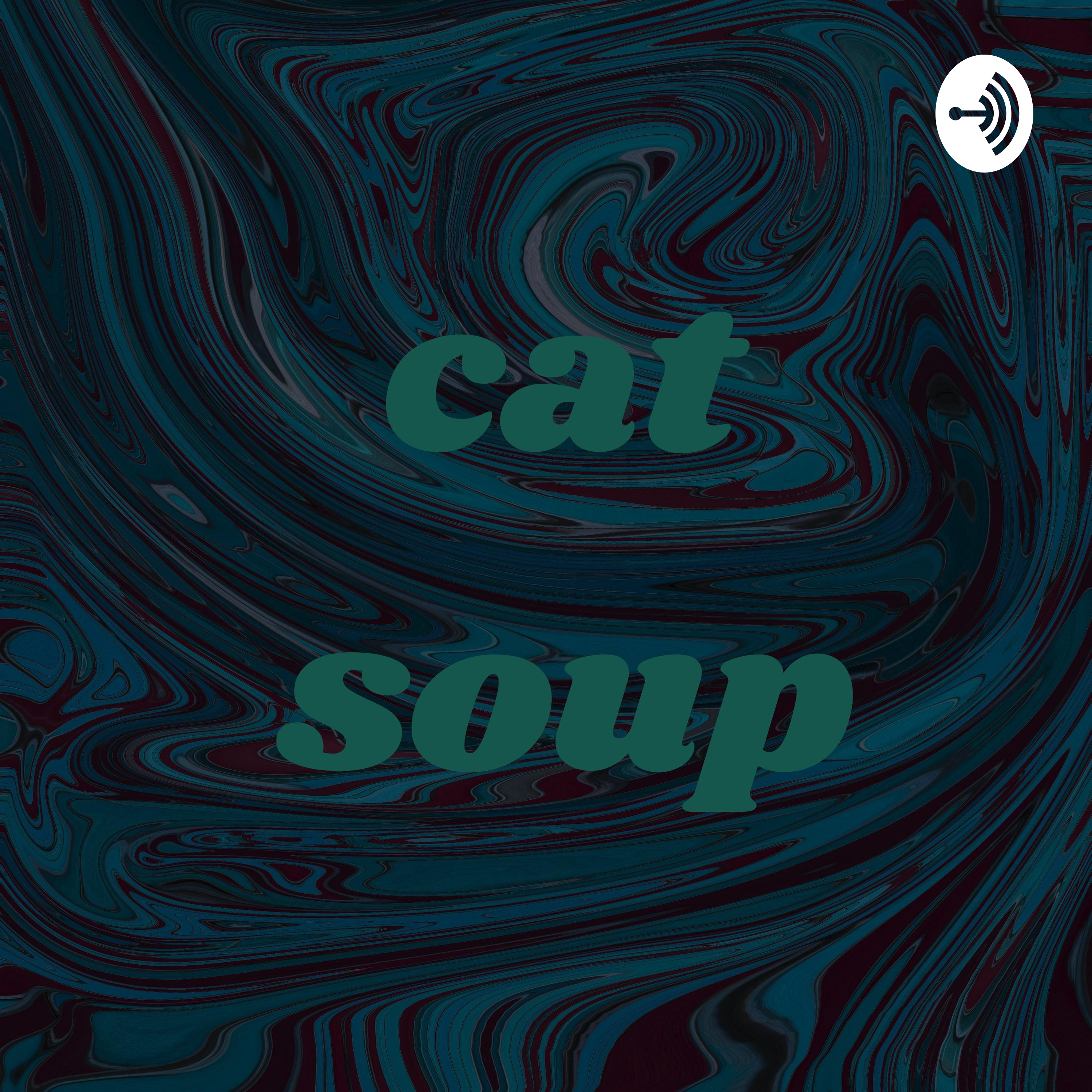 cat soup