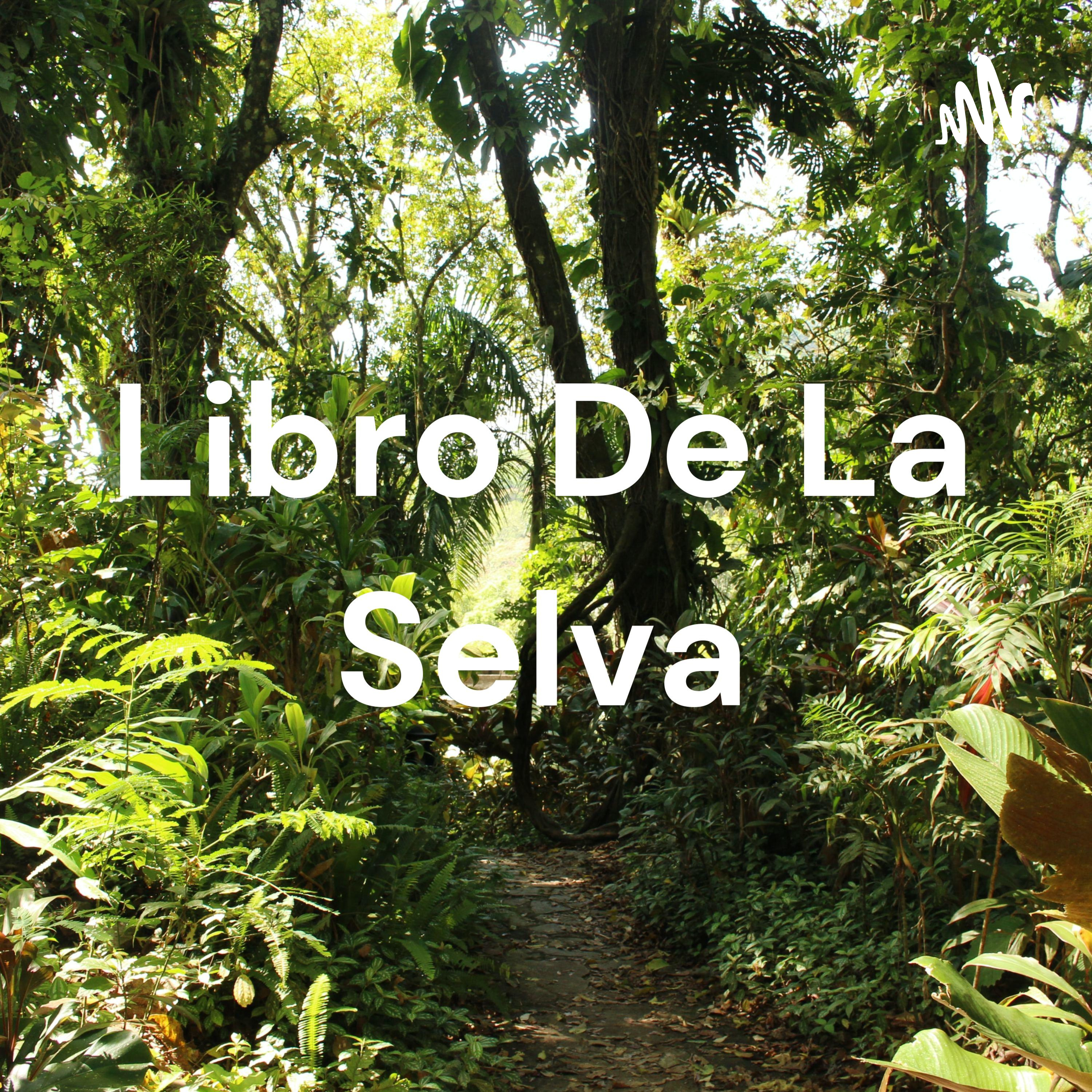 Libro De La Selva