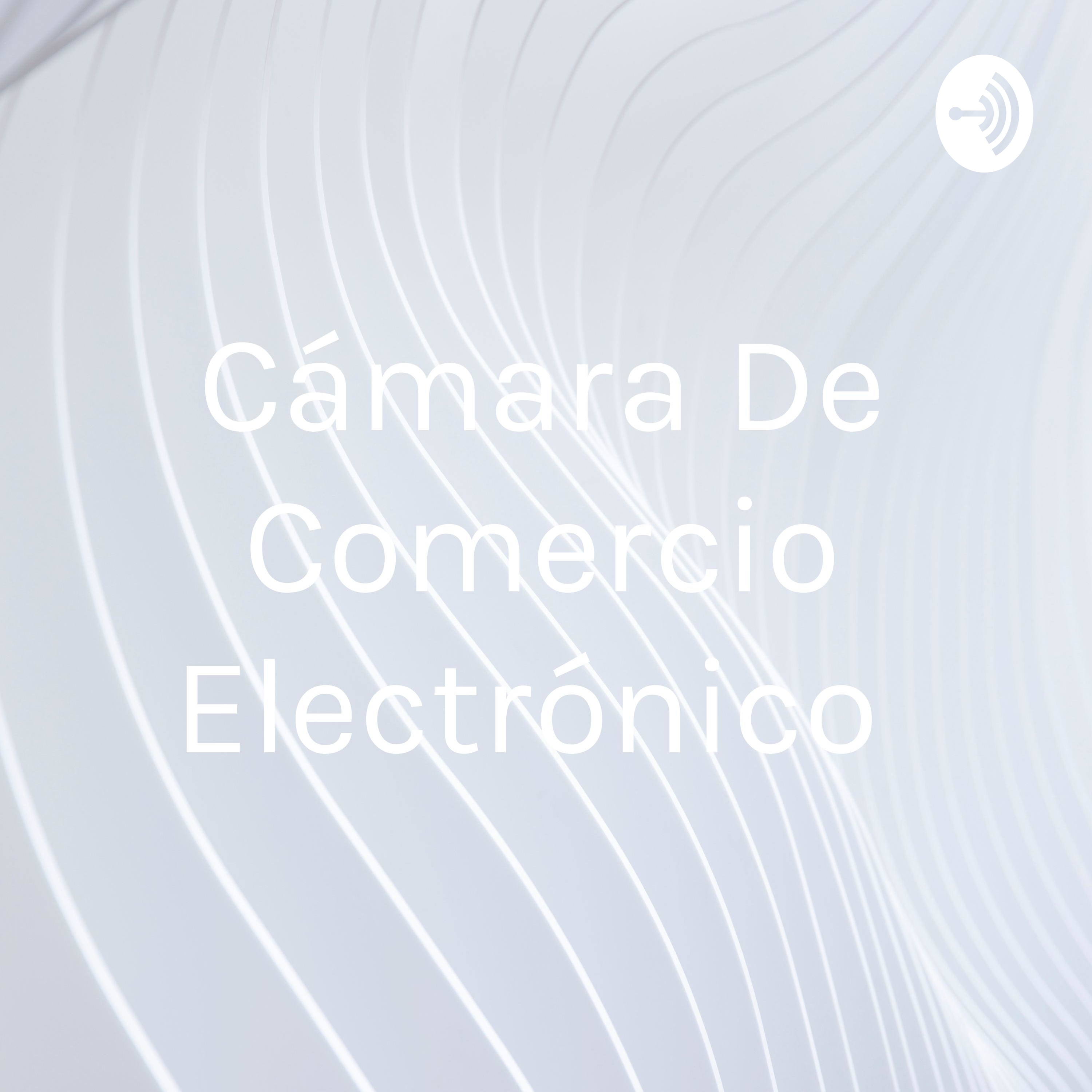 Cámara De Comercio Electrónico 