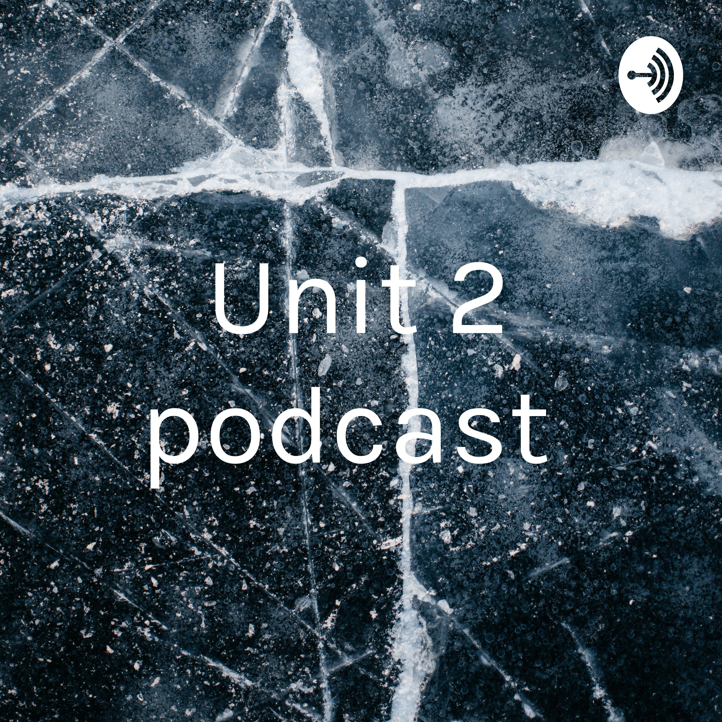 Unit 3 podcast 