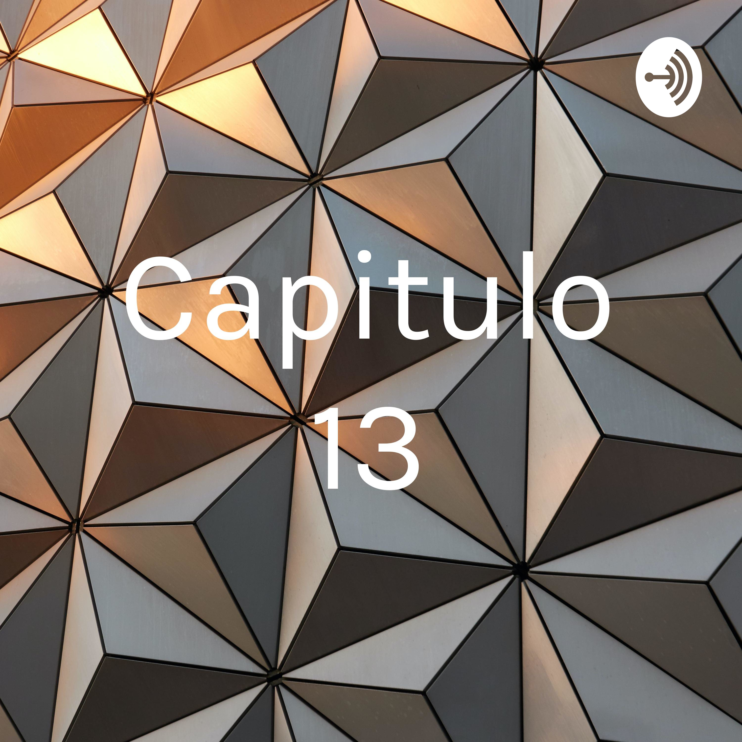 Capitulo 13