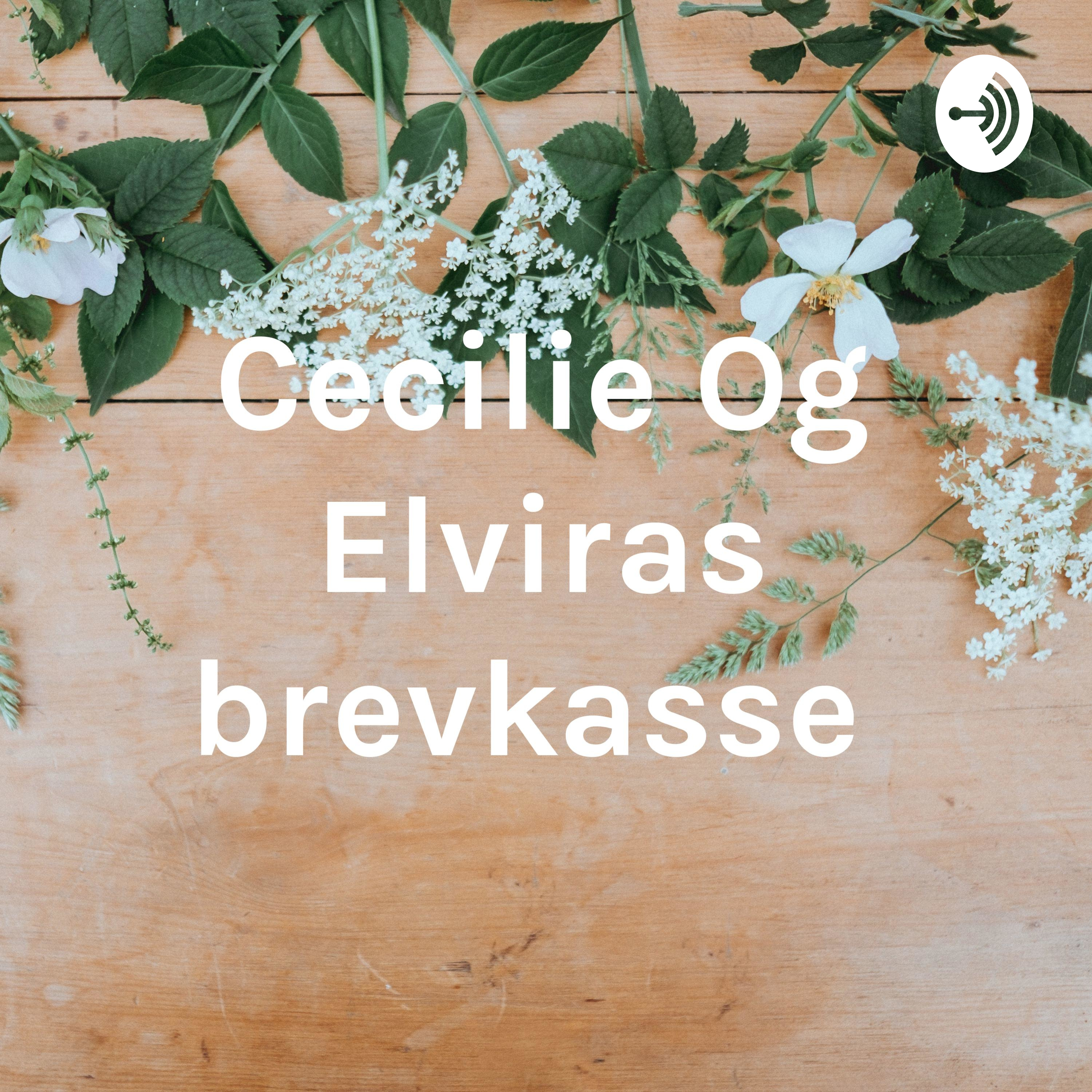 Cecilie Og Elviras brevkasse af cecilie østfeldt