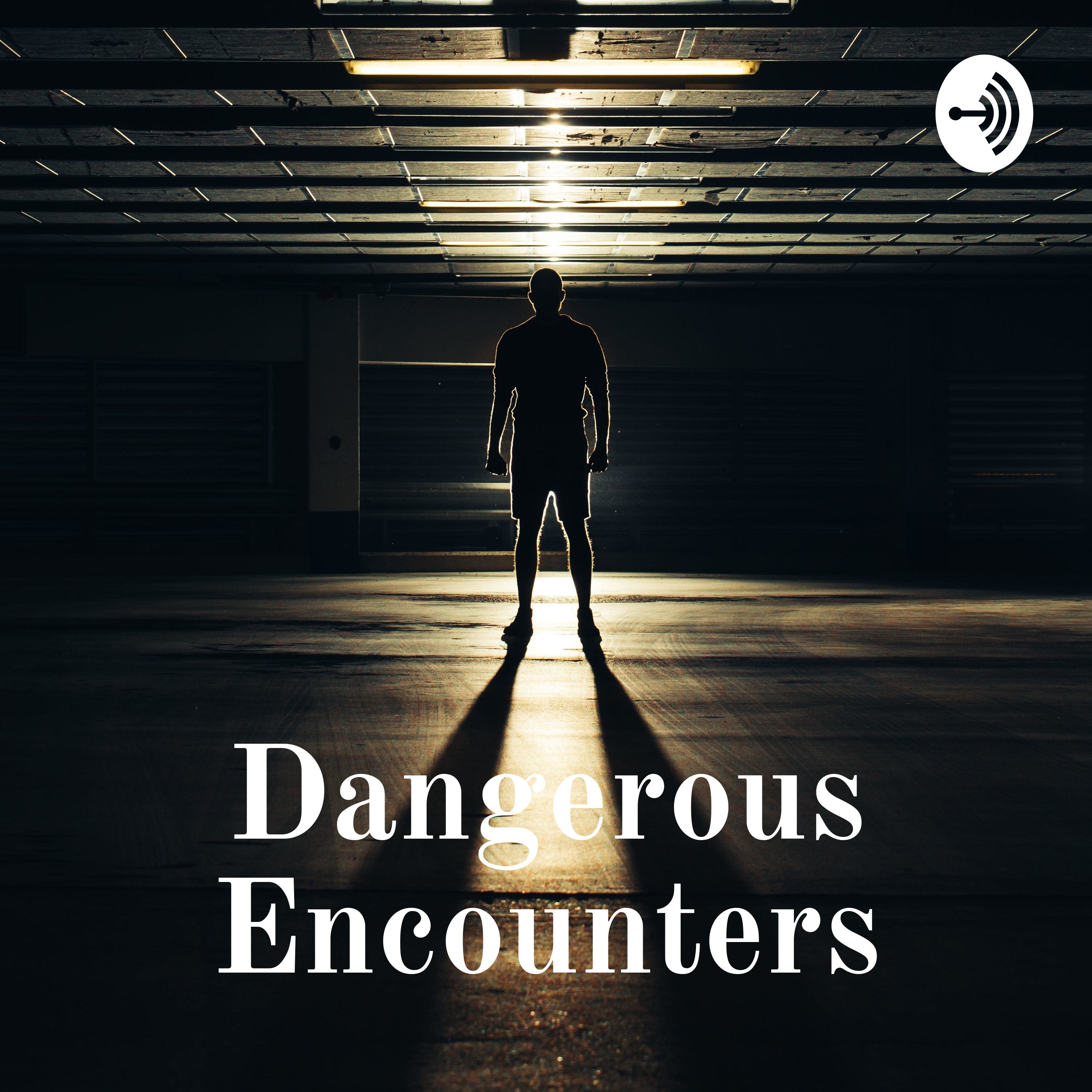 Dangerous Encounters: What to Expect