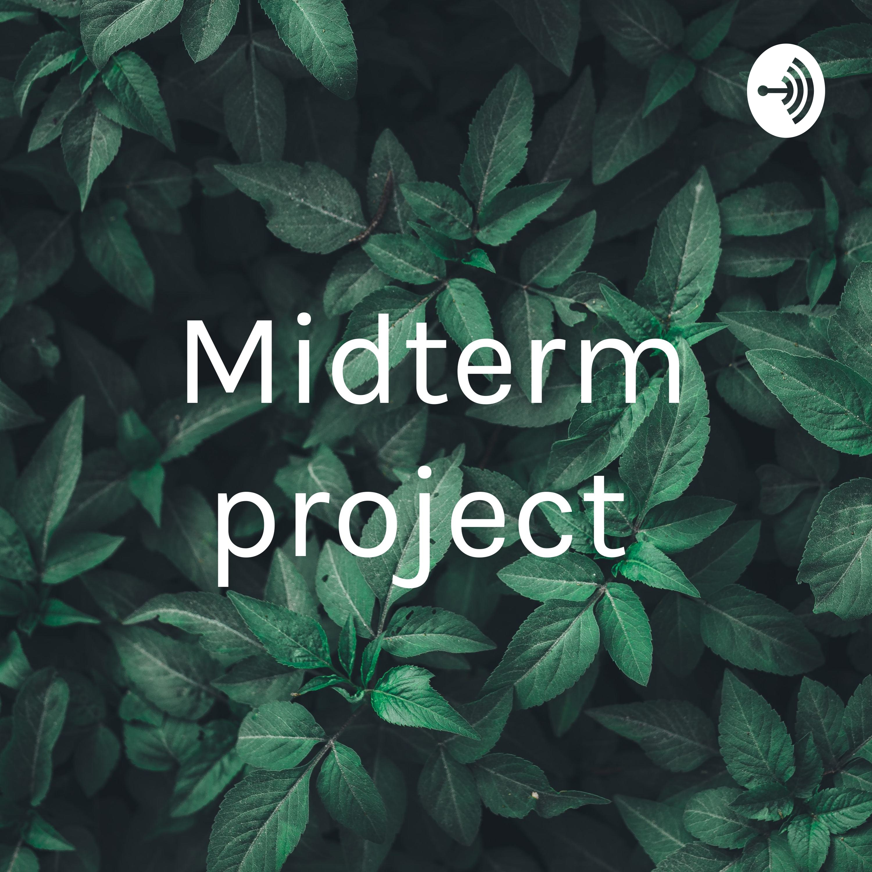 Midterm project 
