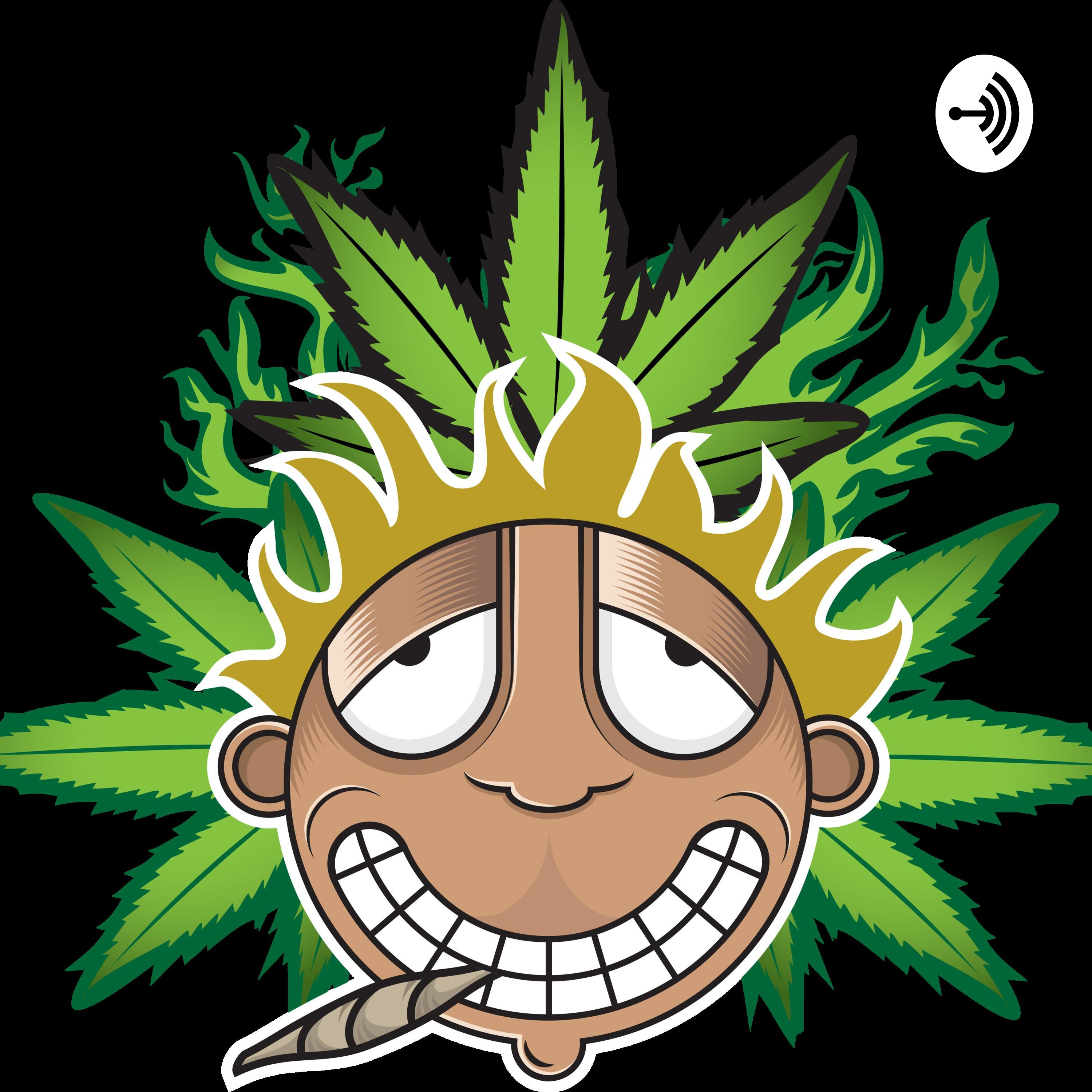 Why Cannabis Clubs are the most Undervalued Business in the Cannabis Industry. Why Cannabis Clubs are the most Undervalued Business in the Cannabis Industry.