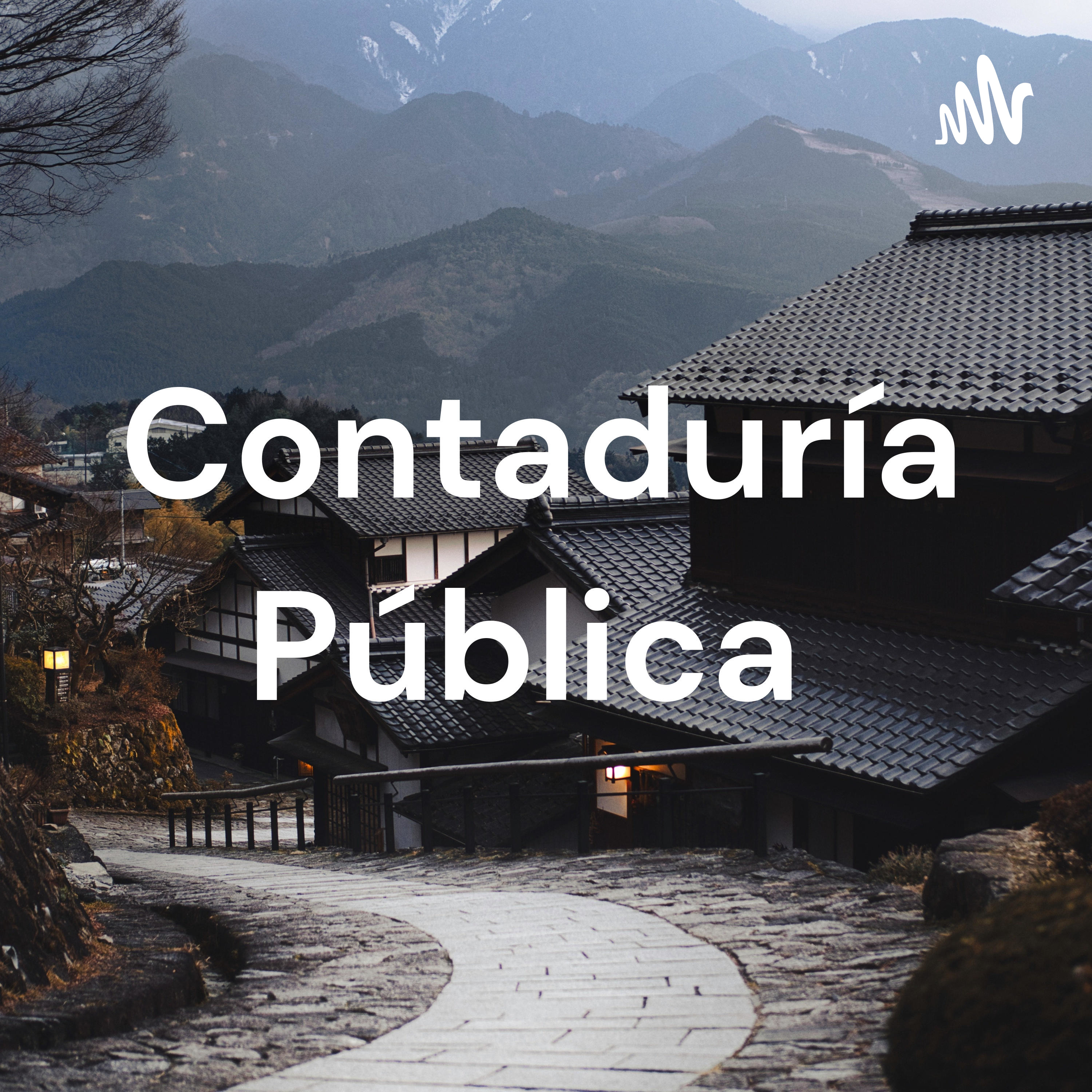 Contaduría Pública