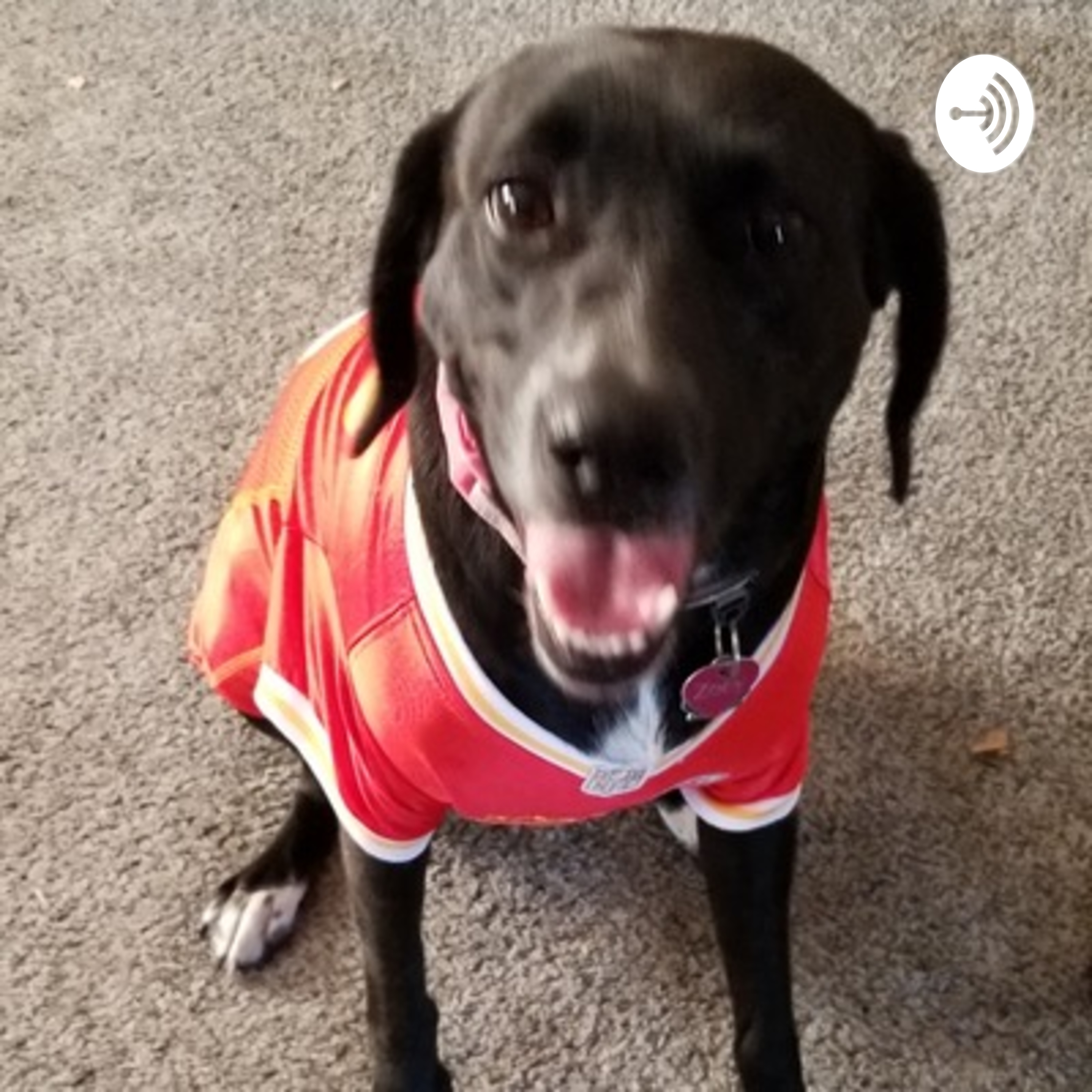 BEFFL Weekly Podcast 
