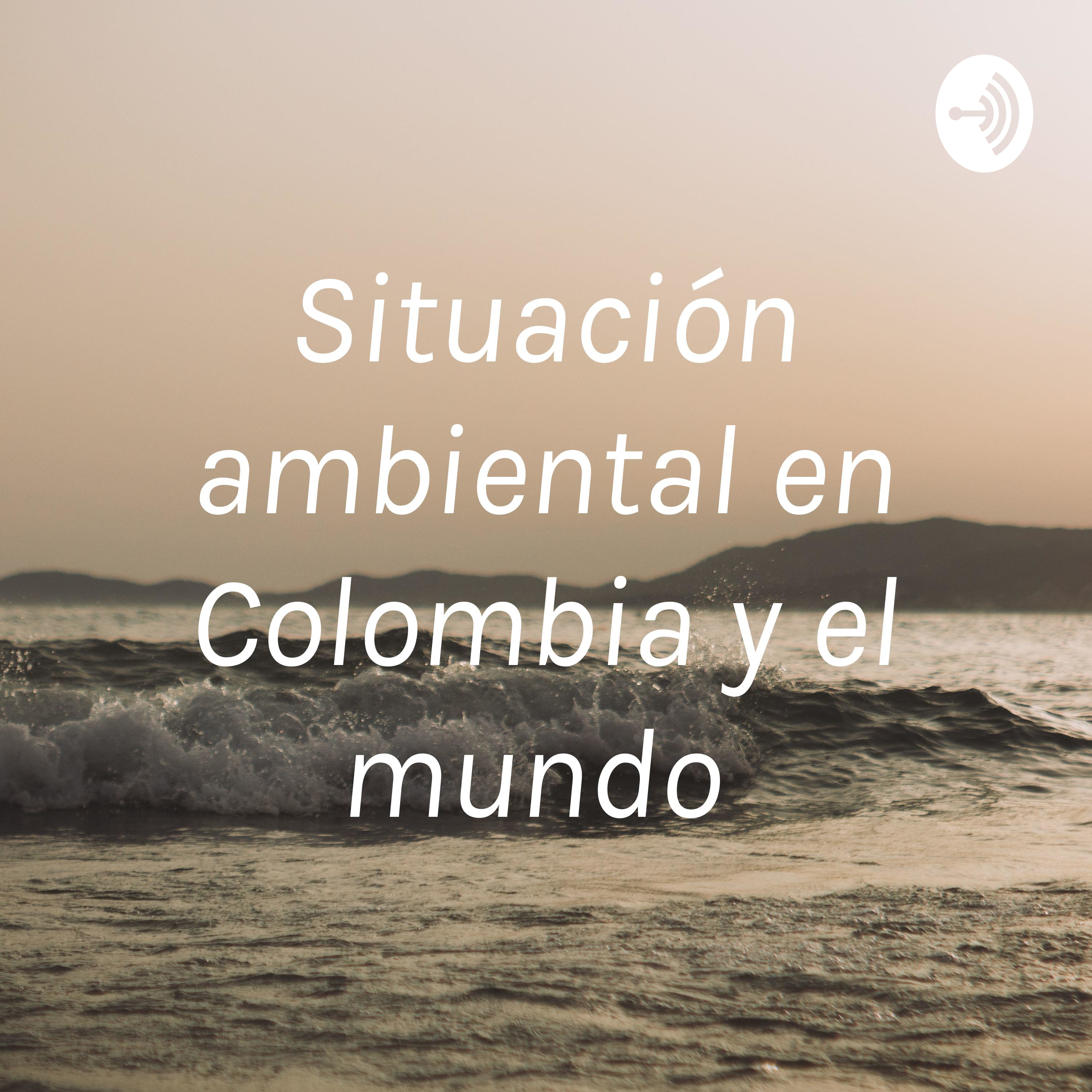 Situación ambiental en Colombia y el mundo 
