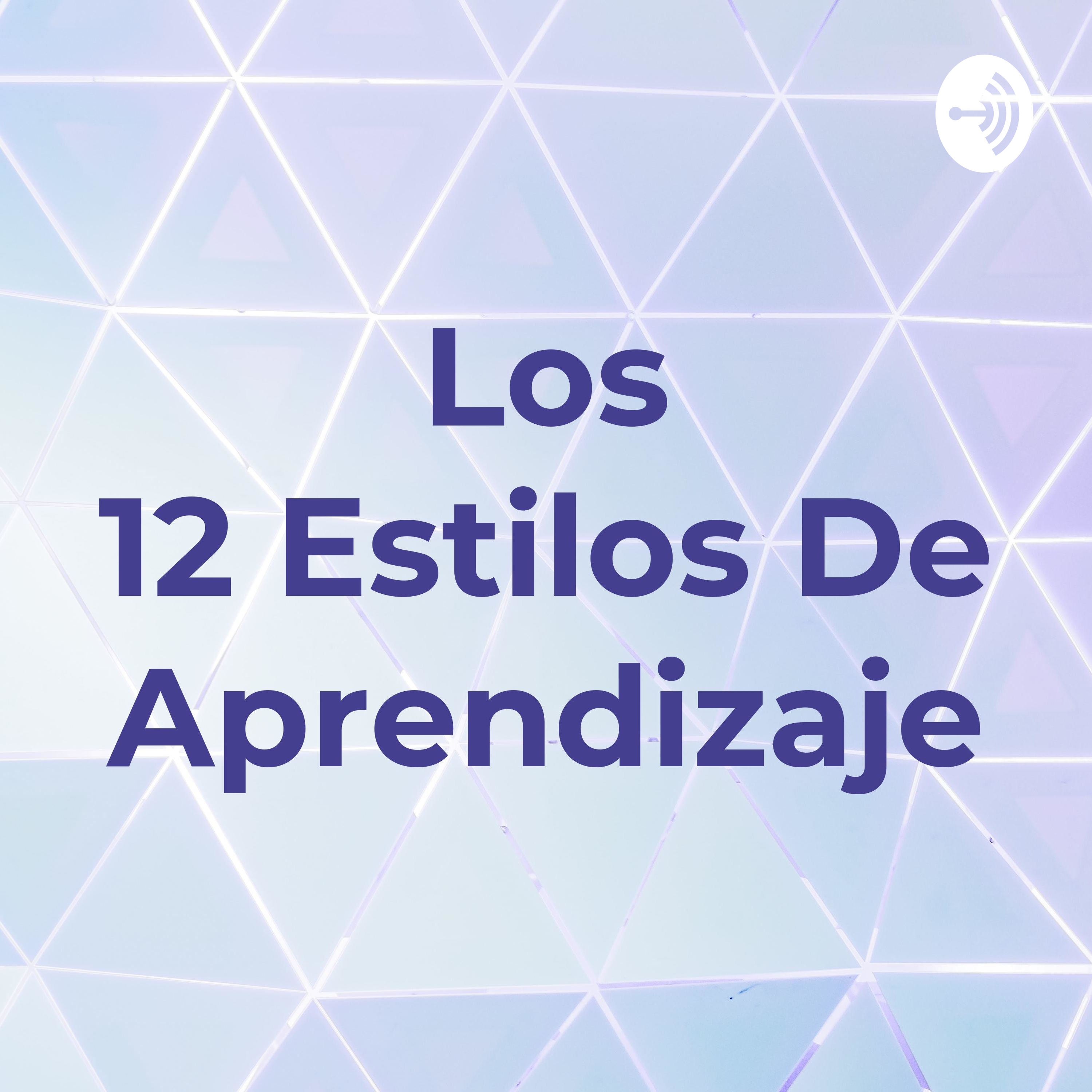 Los 12 Estilos De Aprendizaje