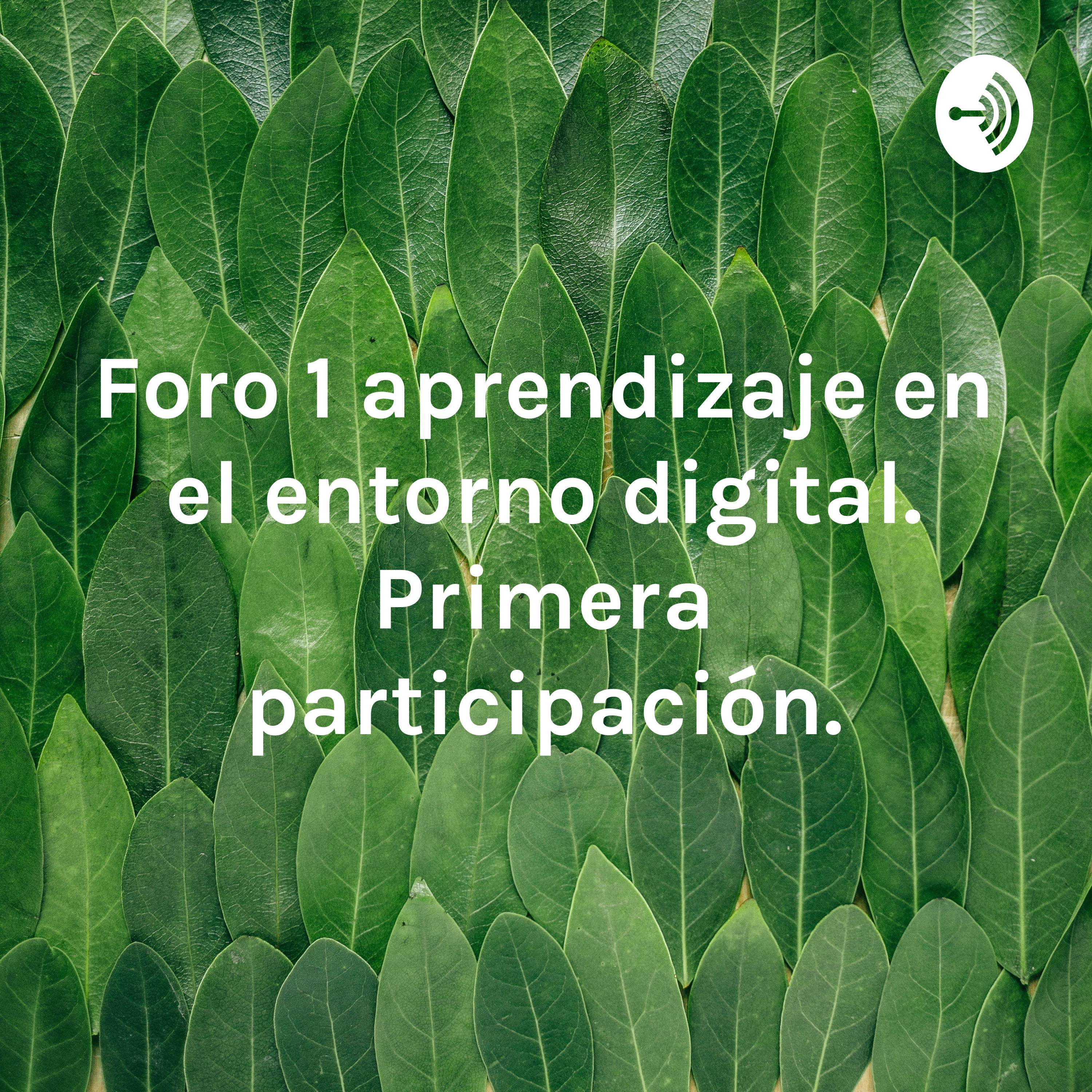 Foro 1 aprendizaje en el entorno digital. Primera participación.
